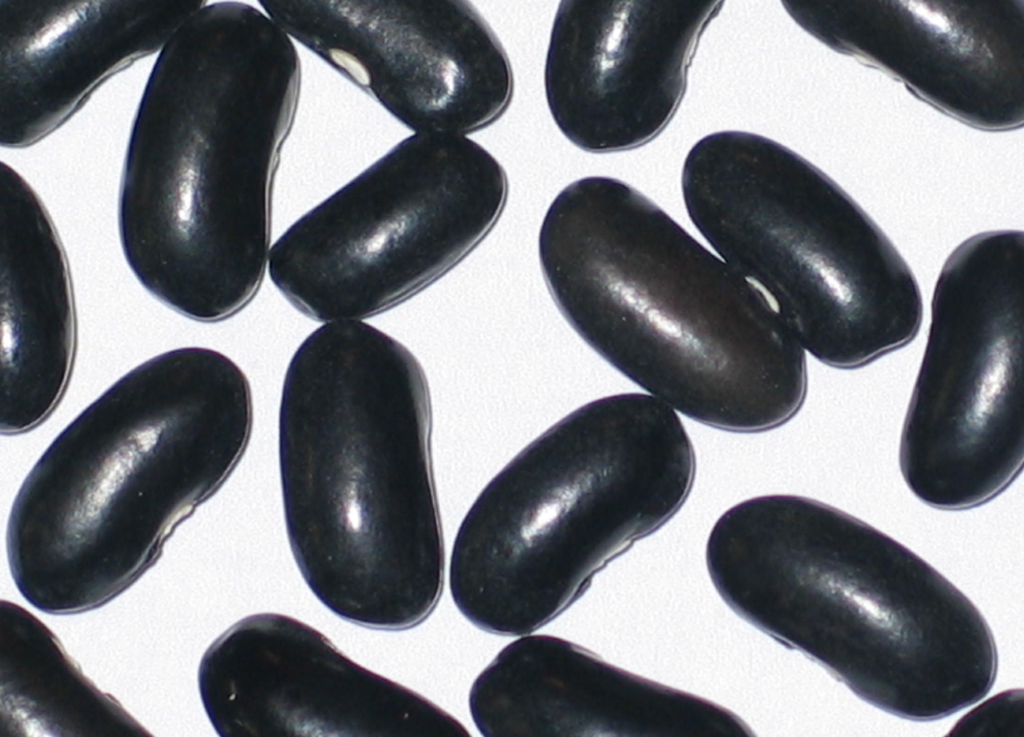 image of Cherokee Wax beans