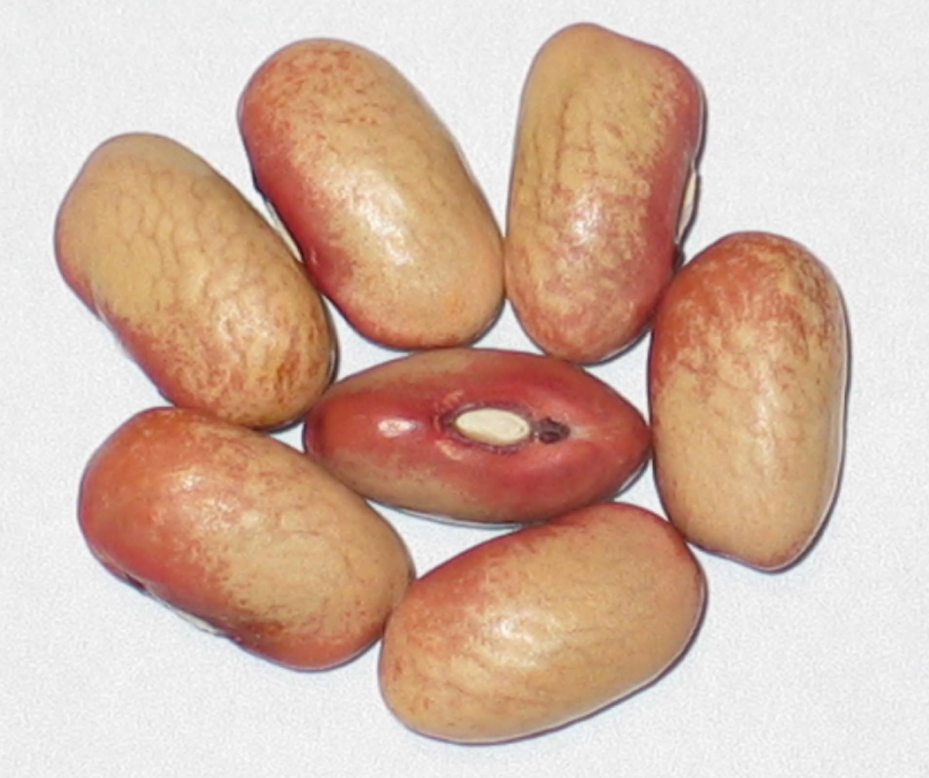 image of Choctaw beans