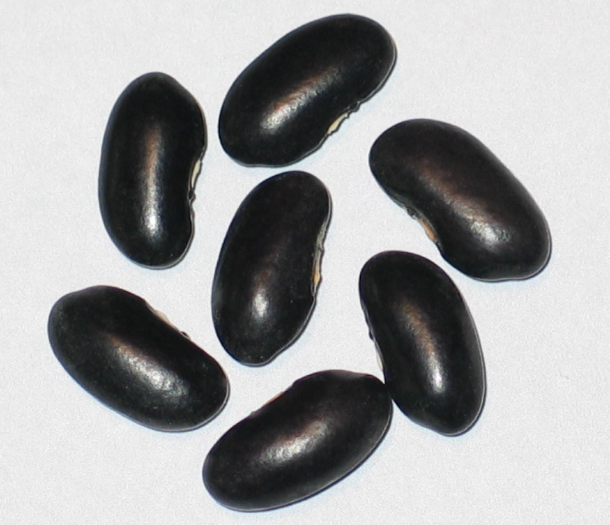 image of Crow River Black beans