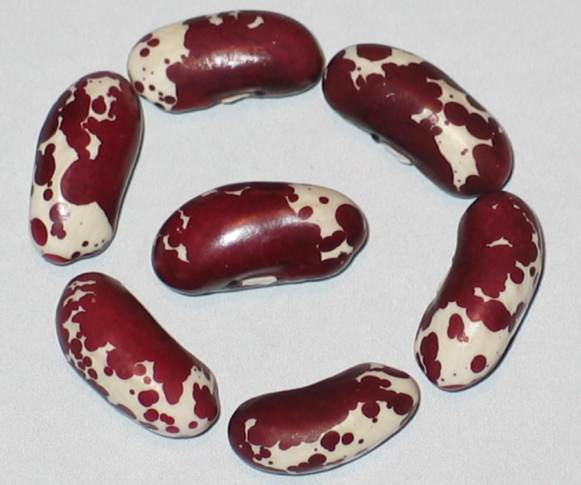 image of Deep Red Trout beans