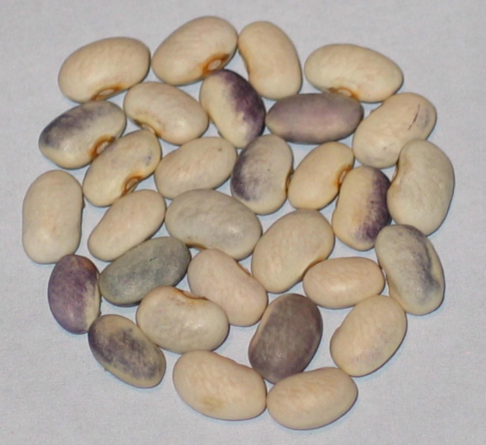 image of Delano beans