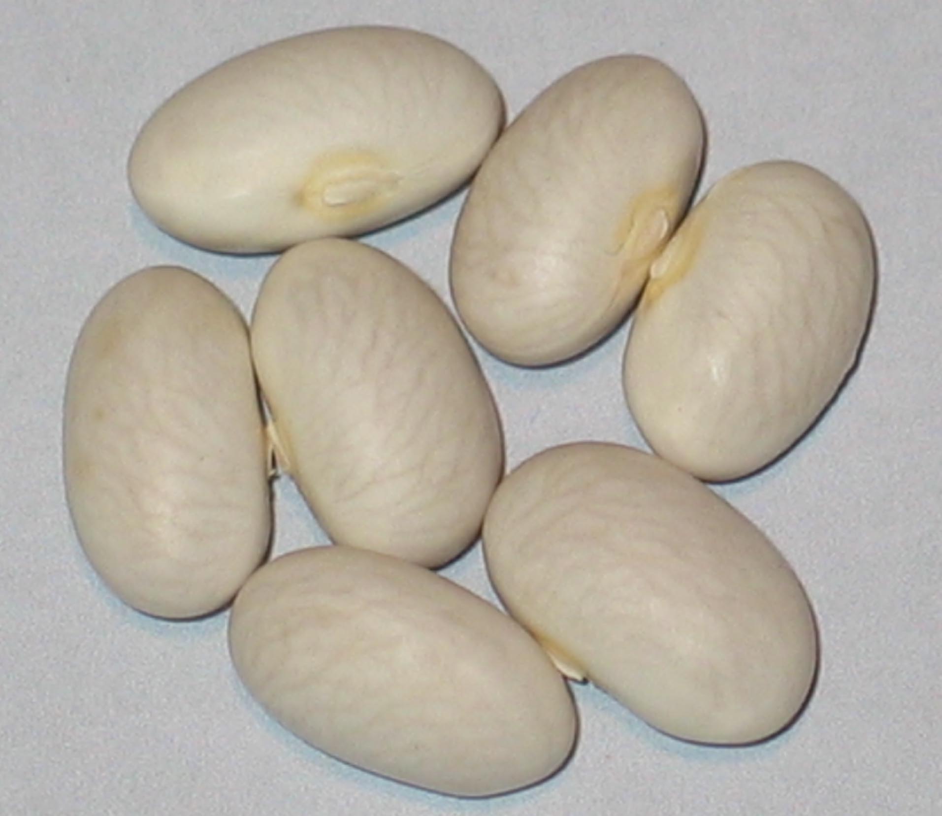 image of Deseronto Potato beans