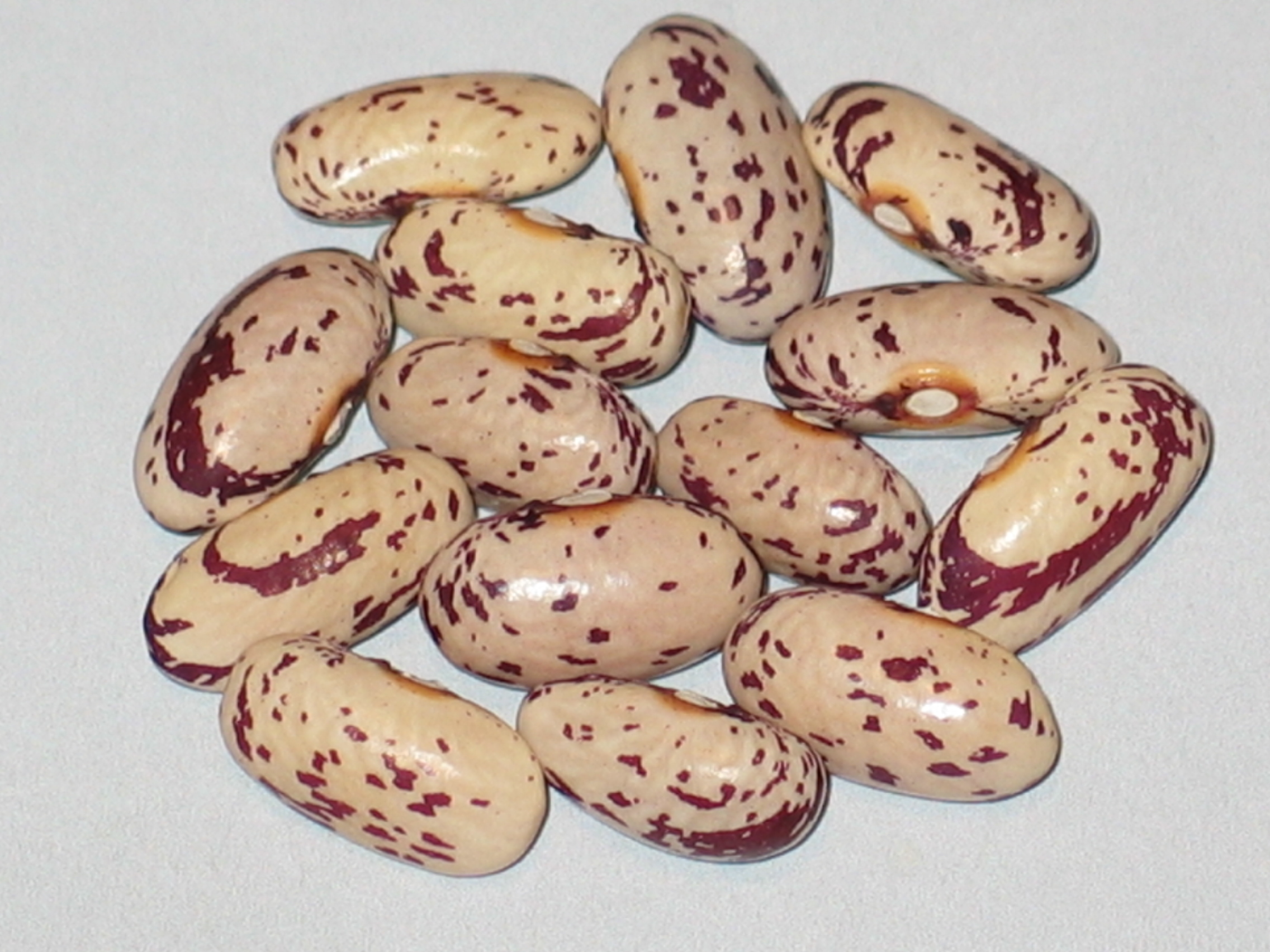 image of Emalia's Italian beans