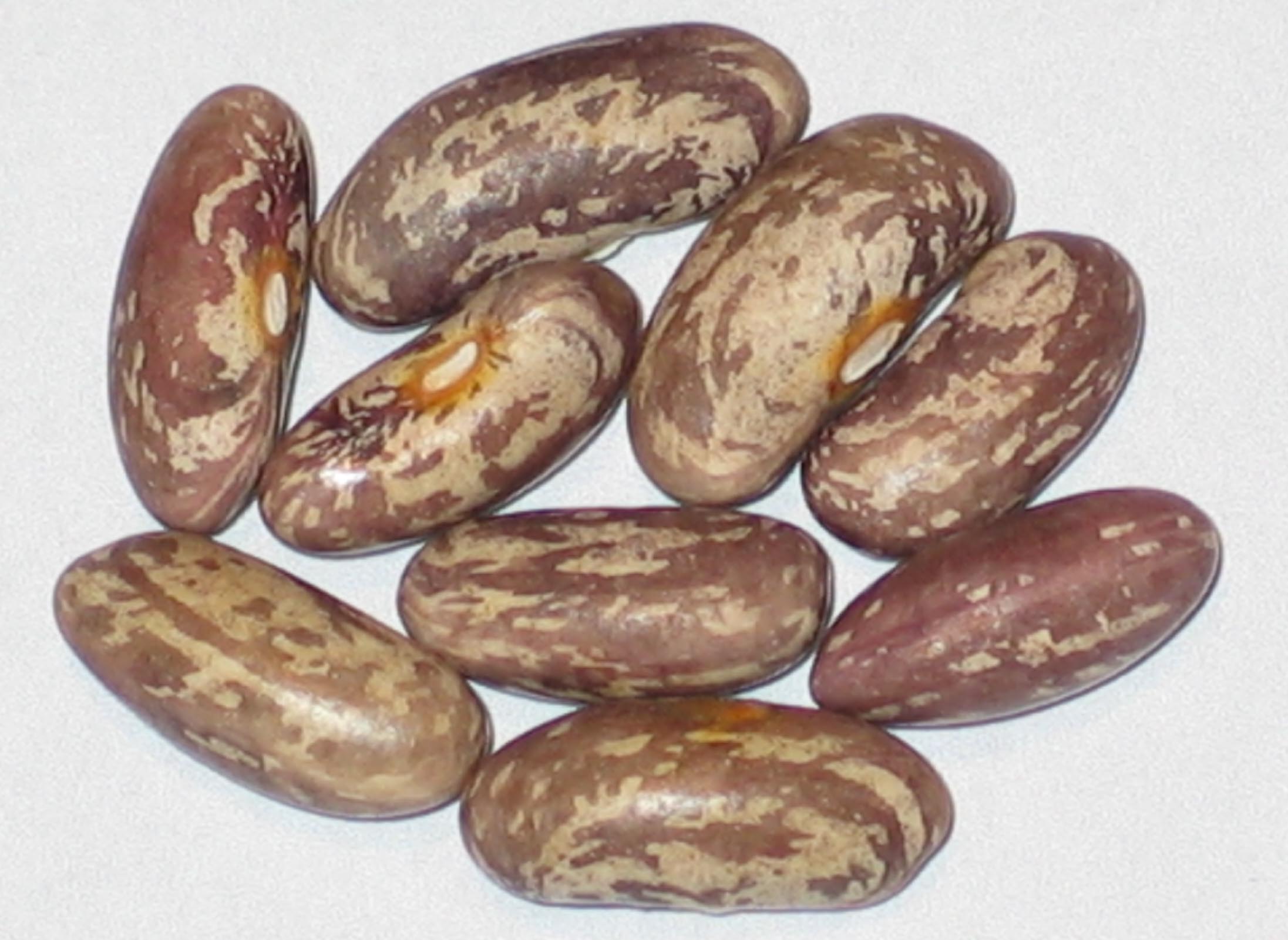 image of Fa Lan Dou beans