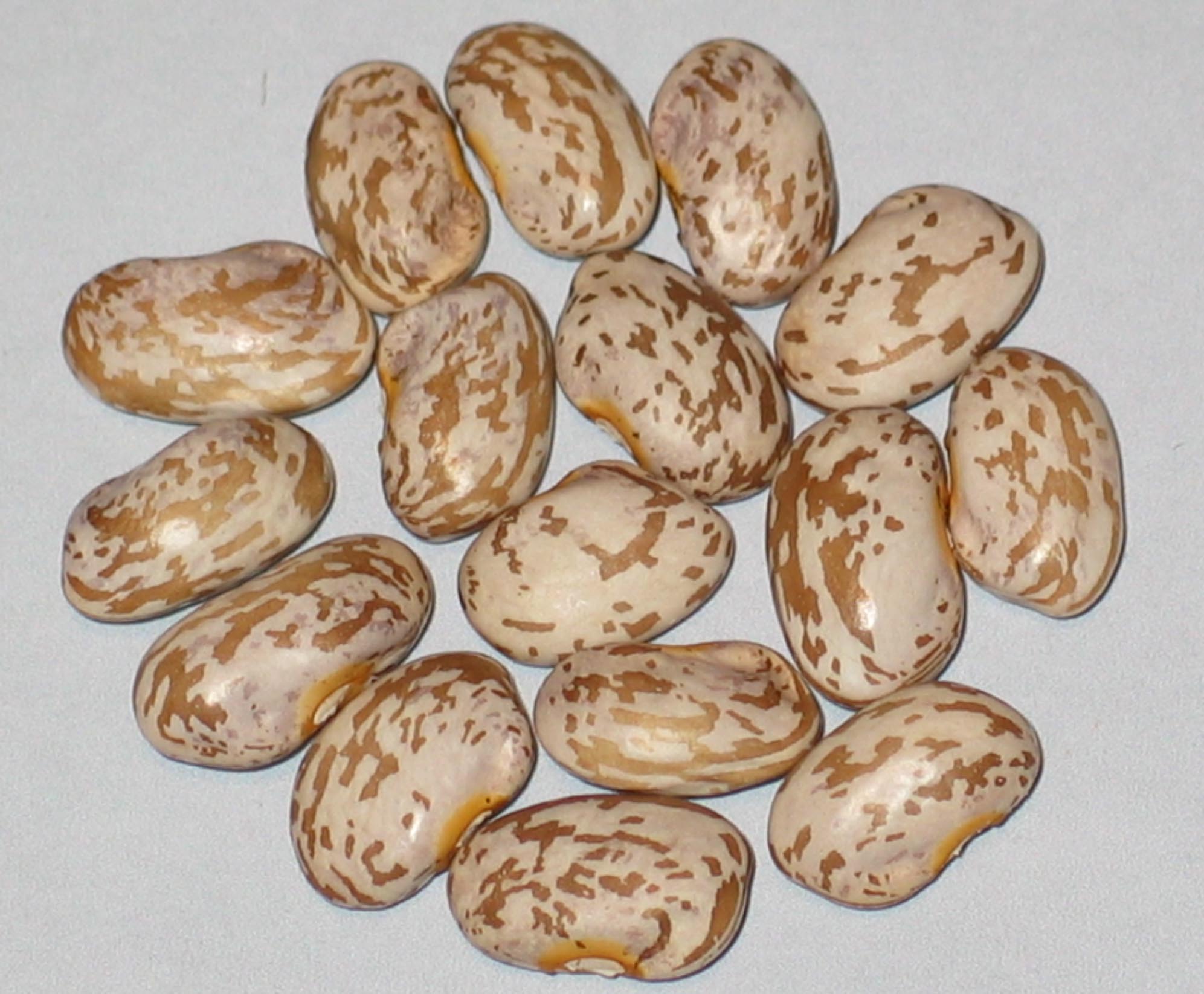 image of Ga Ga Hut beans