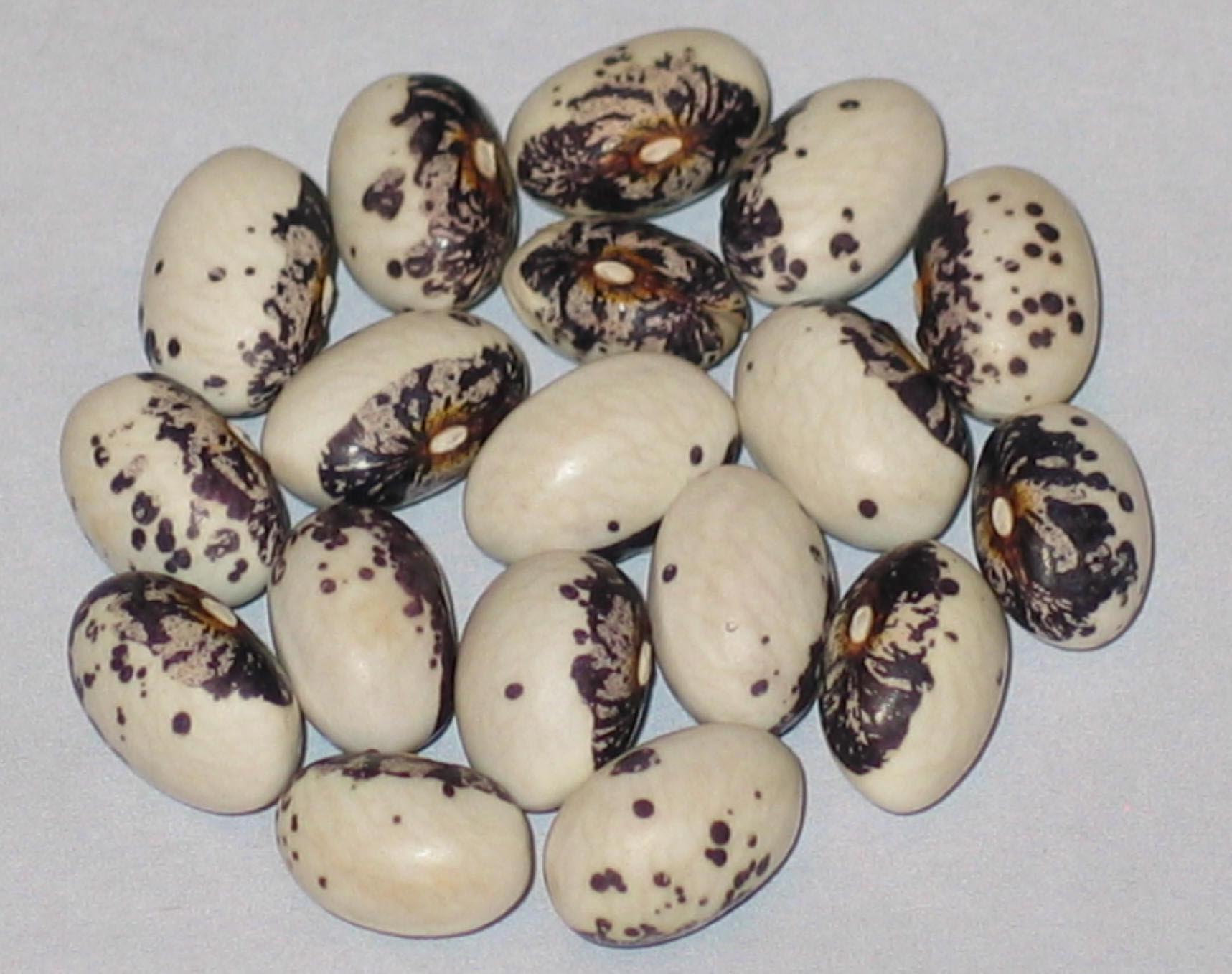 image of Liscek beans