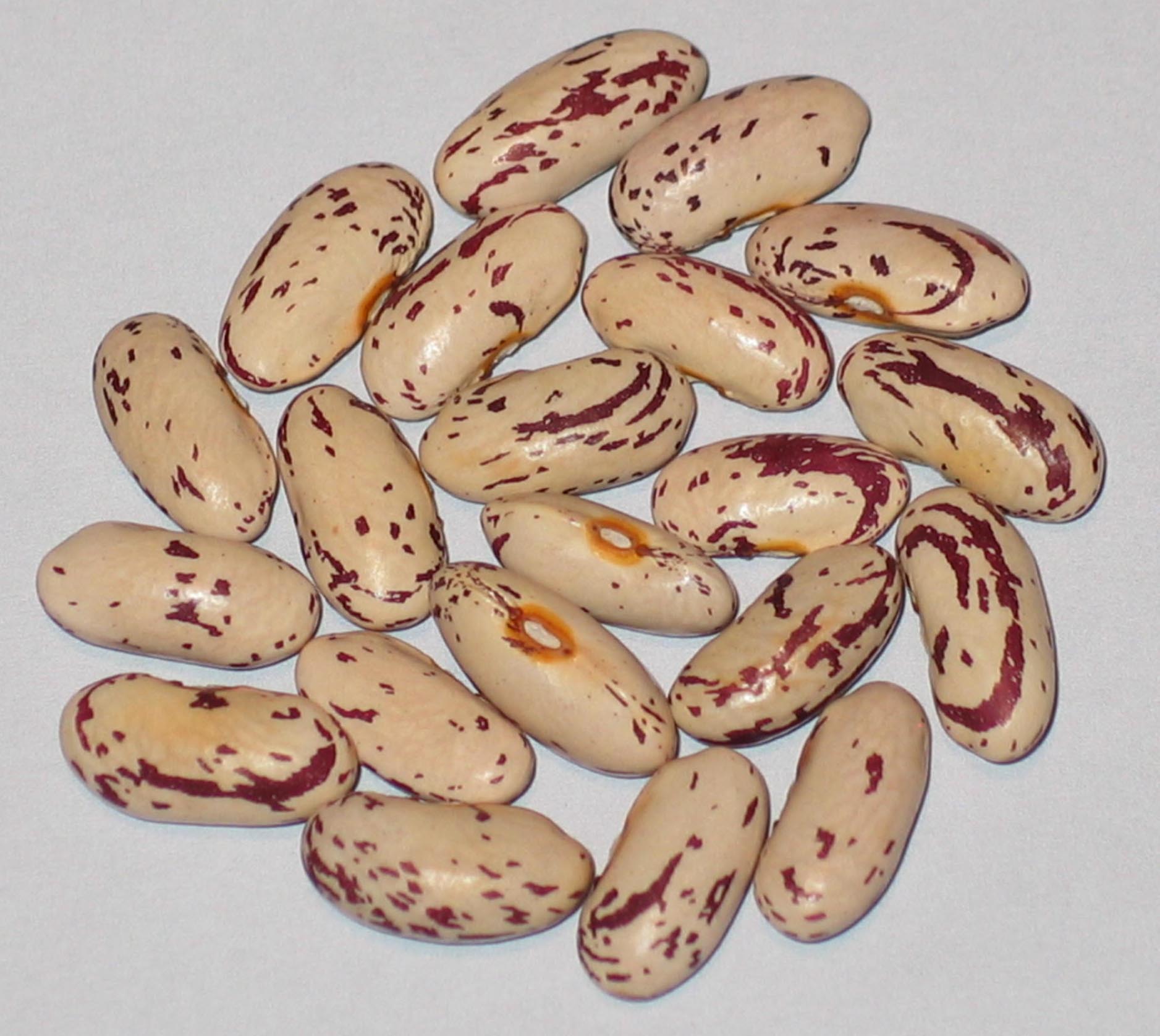 image of Missouri Bill's beans