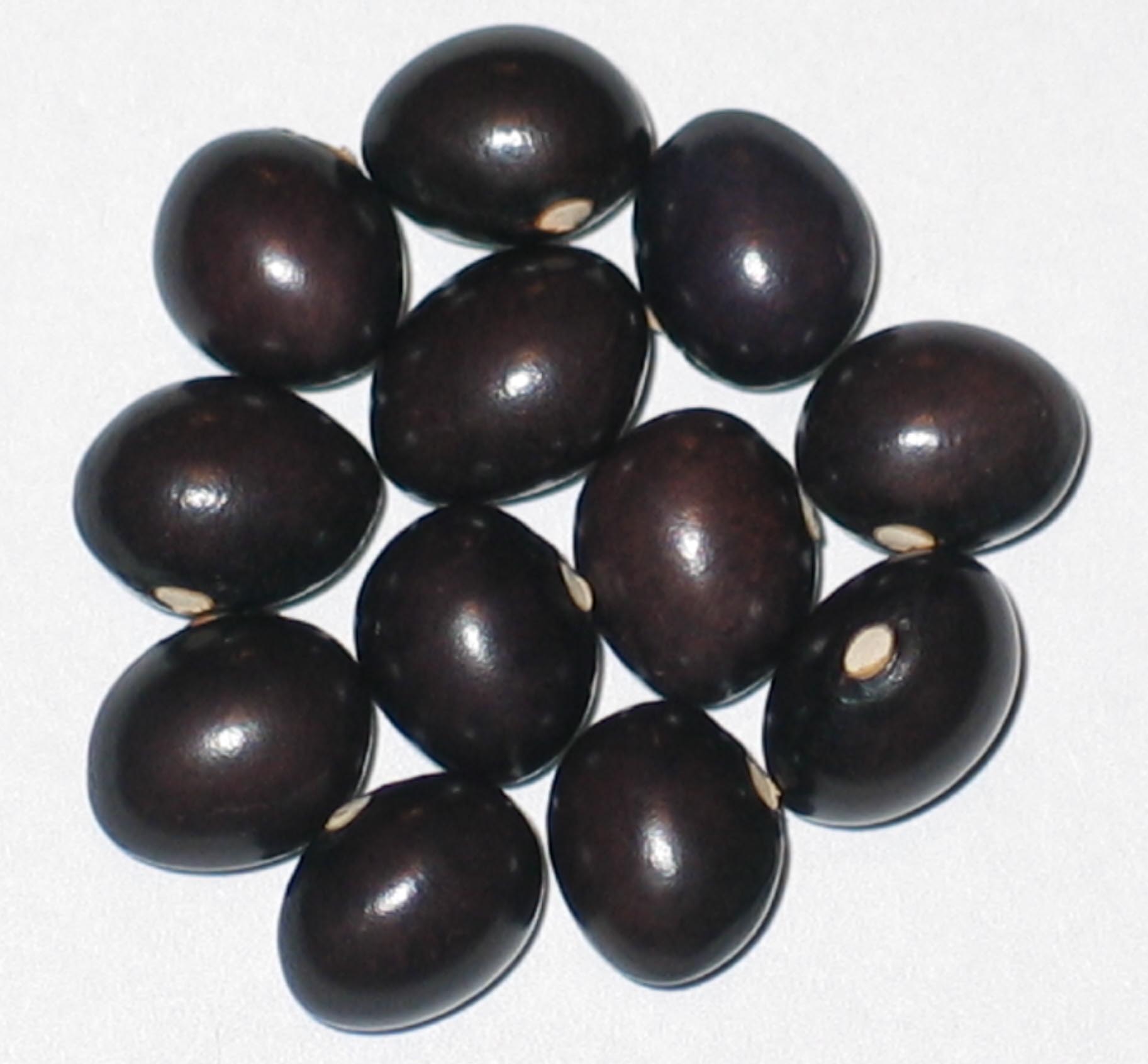 image of Poletschka beans