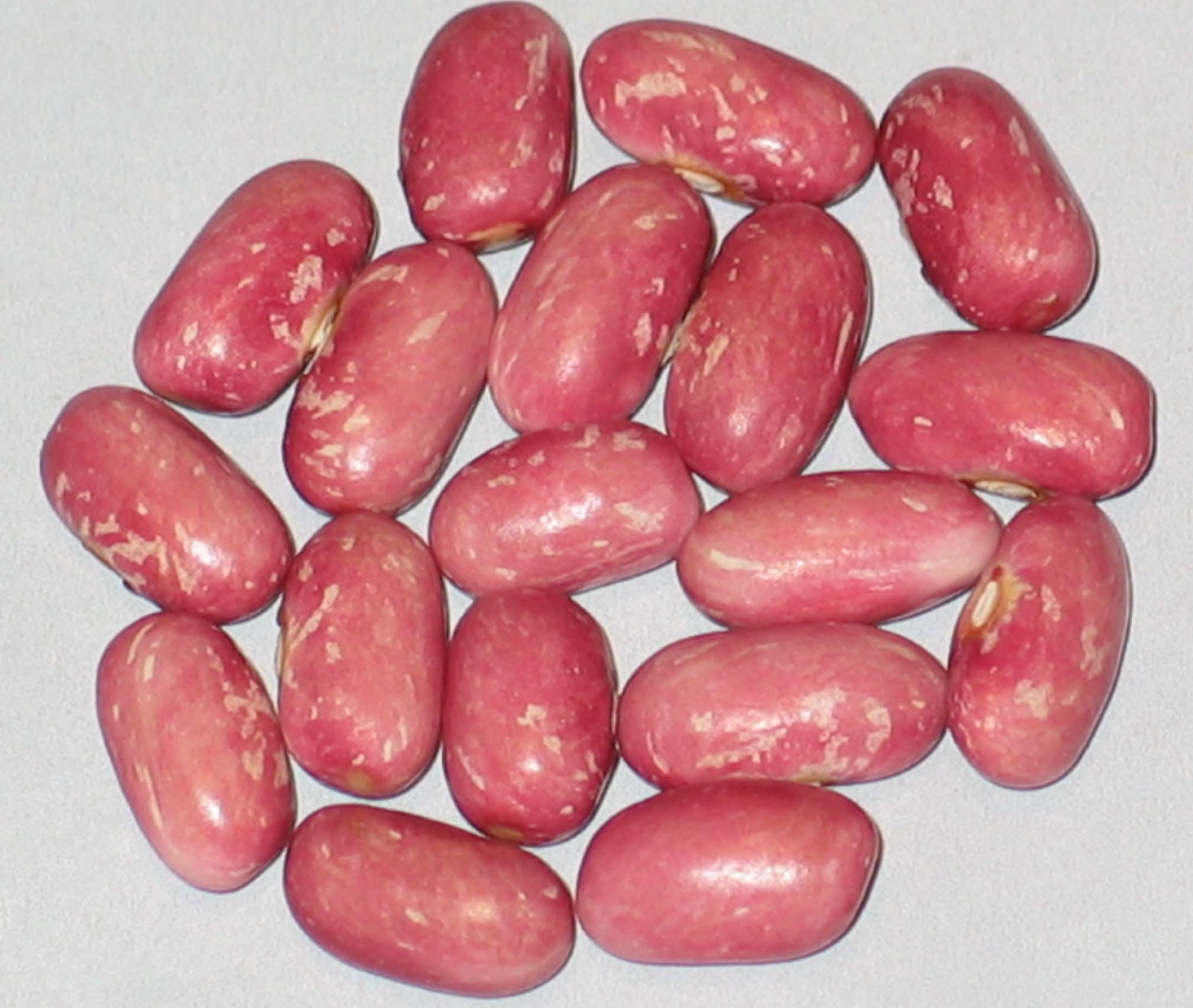 image of Princess Rose beans