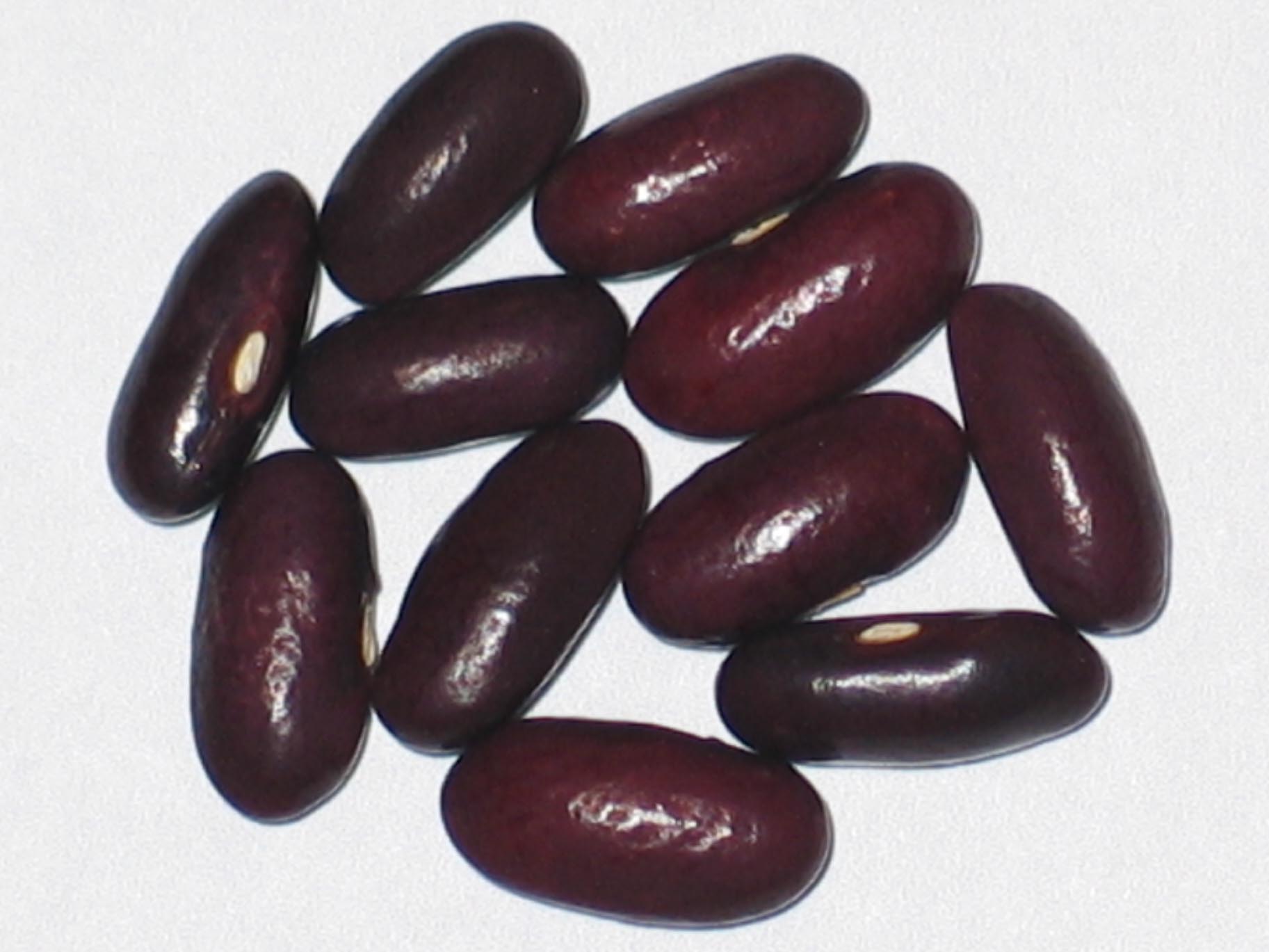 image of Provider beans