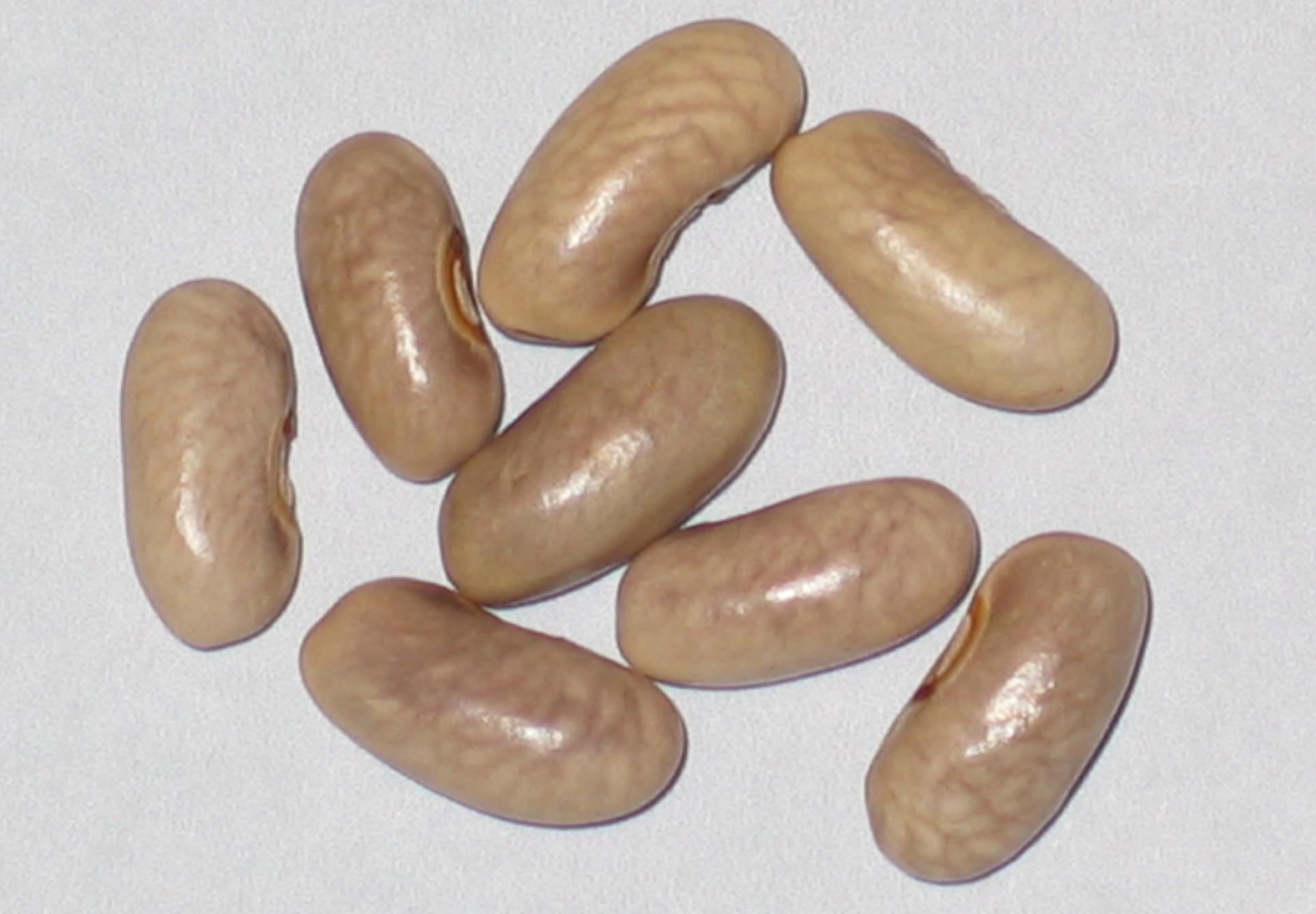image of Purple Amazon beans