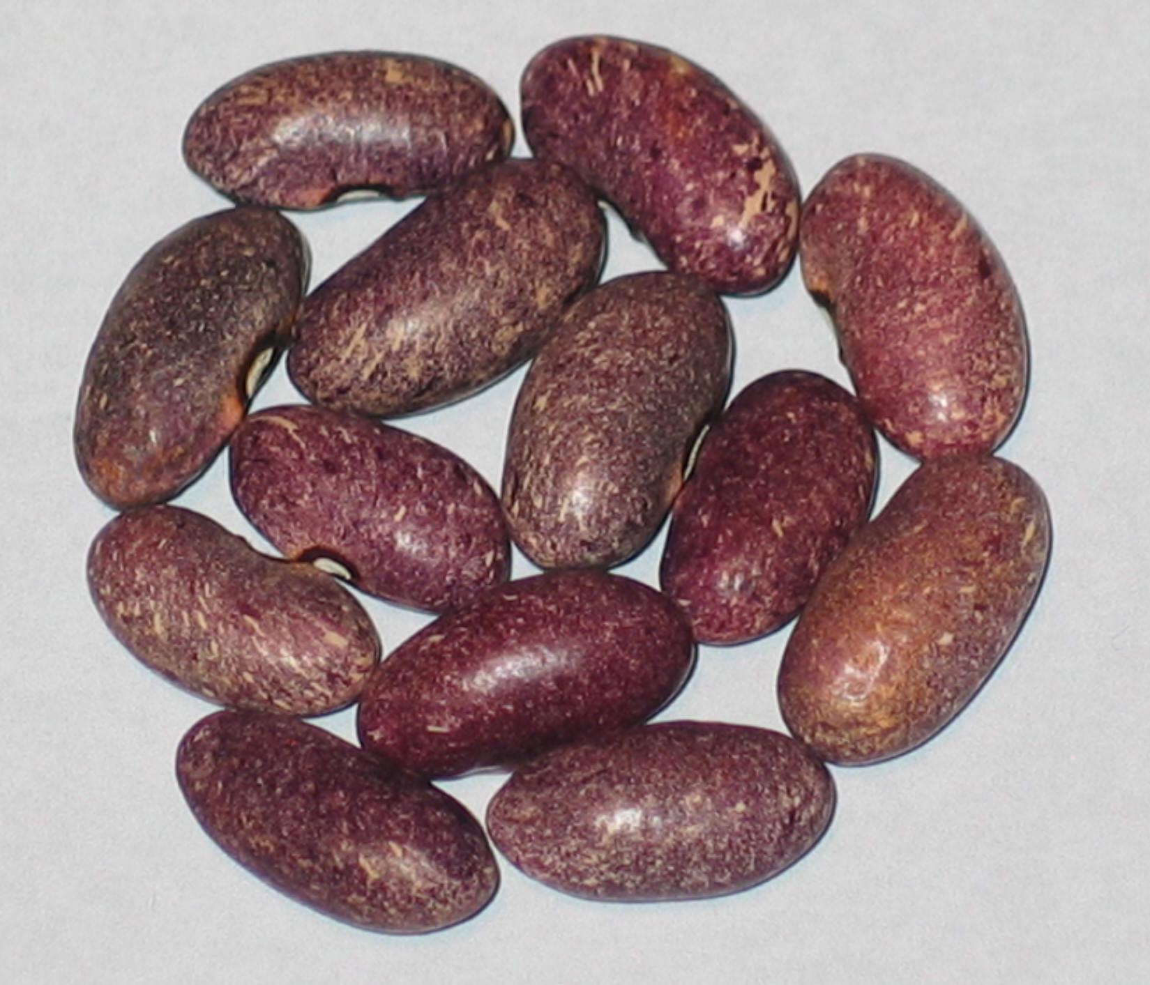 image of Spring Valley Purple beans