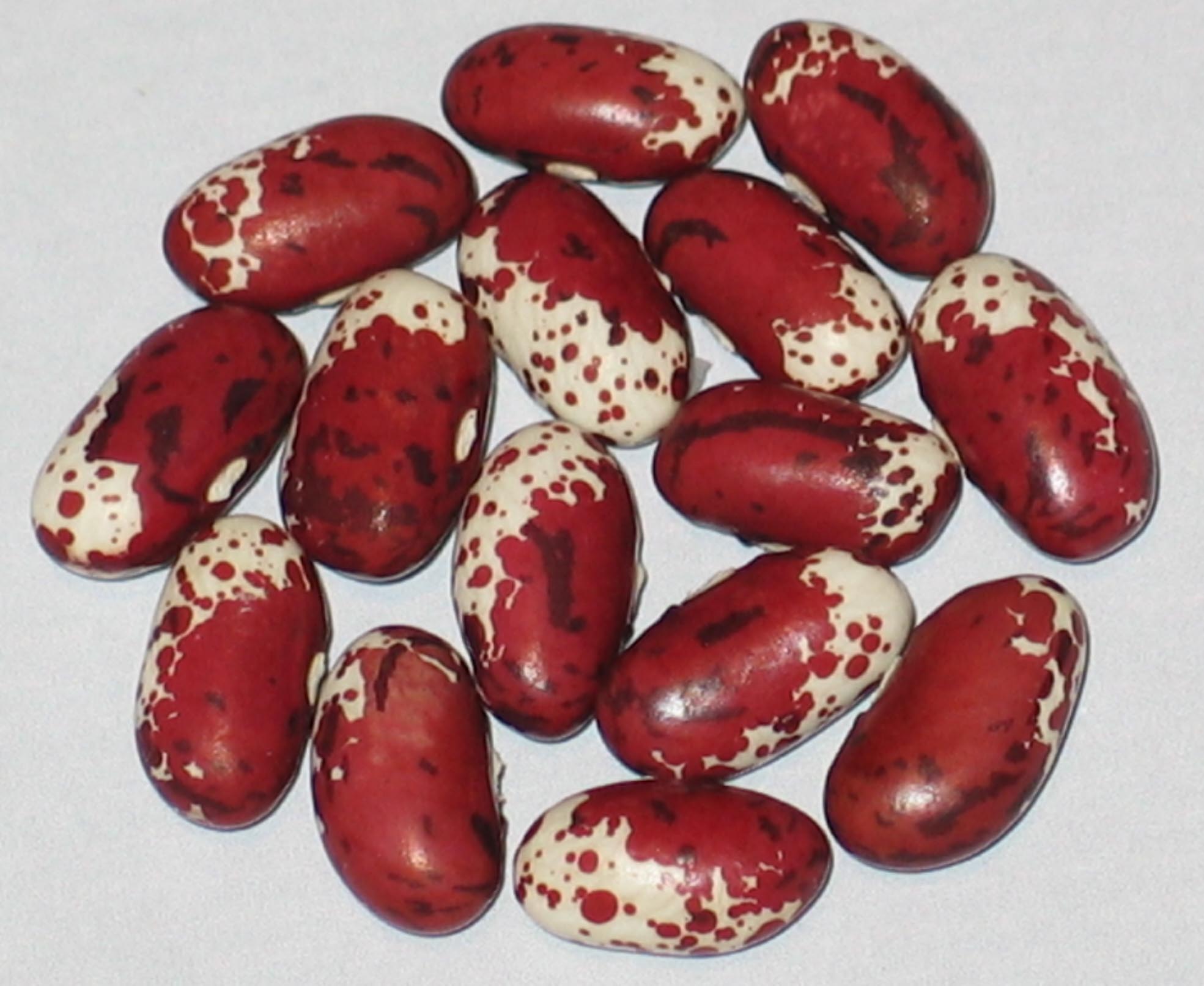 image of Sweetwater beans
