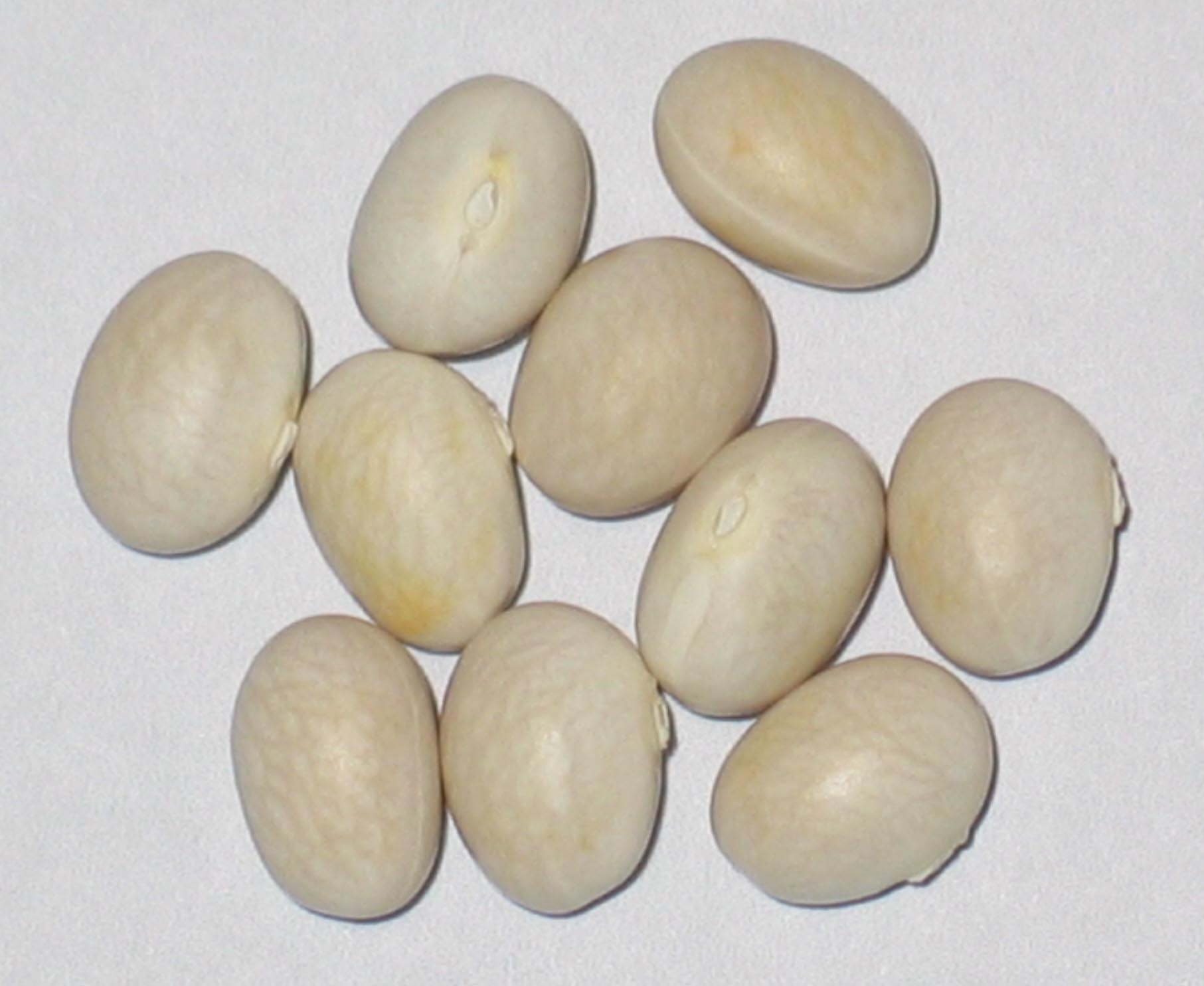 image of Tene's Bean beans