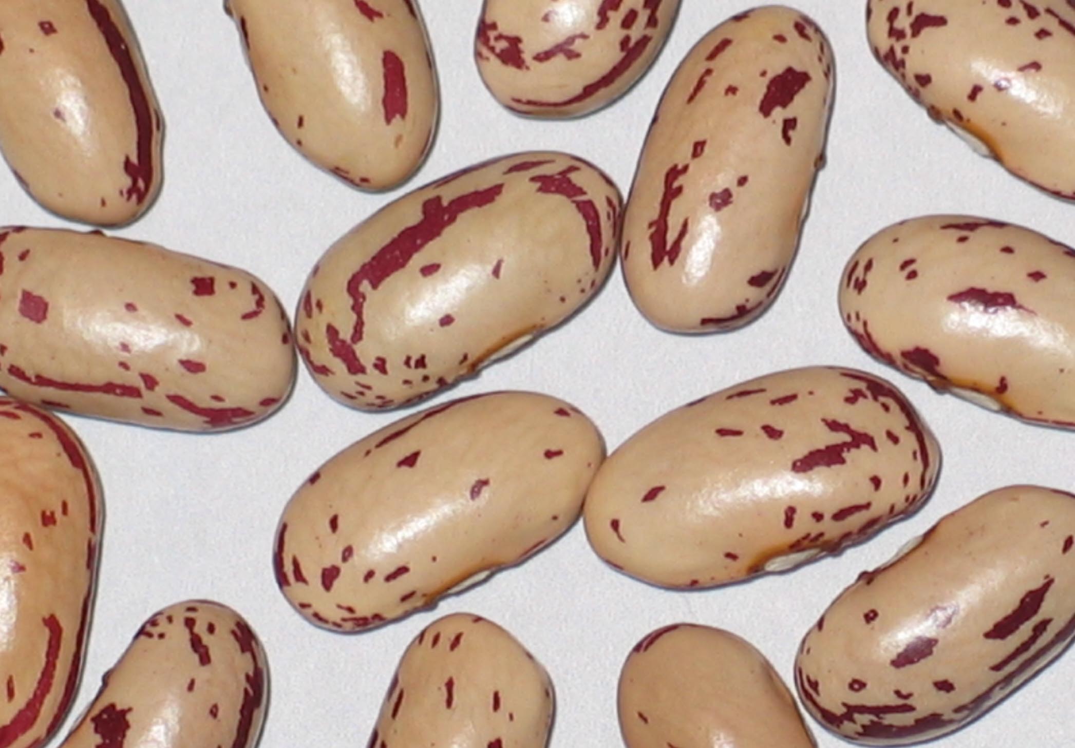 image of Uncle Willies beans