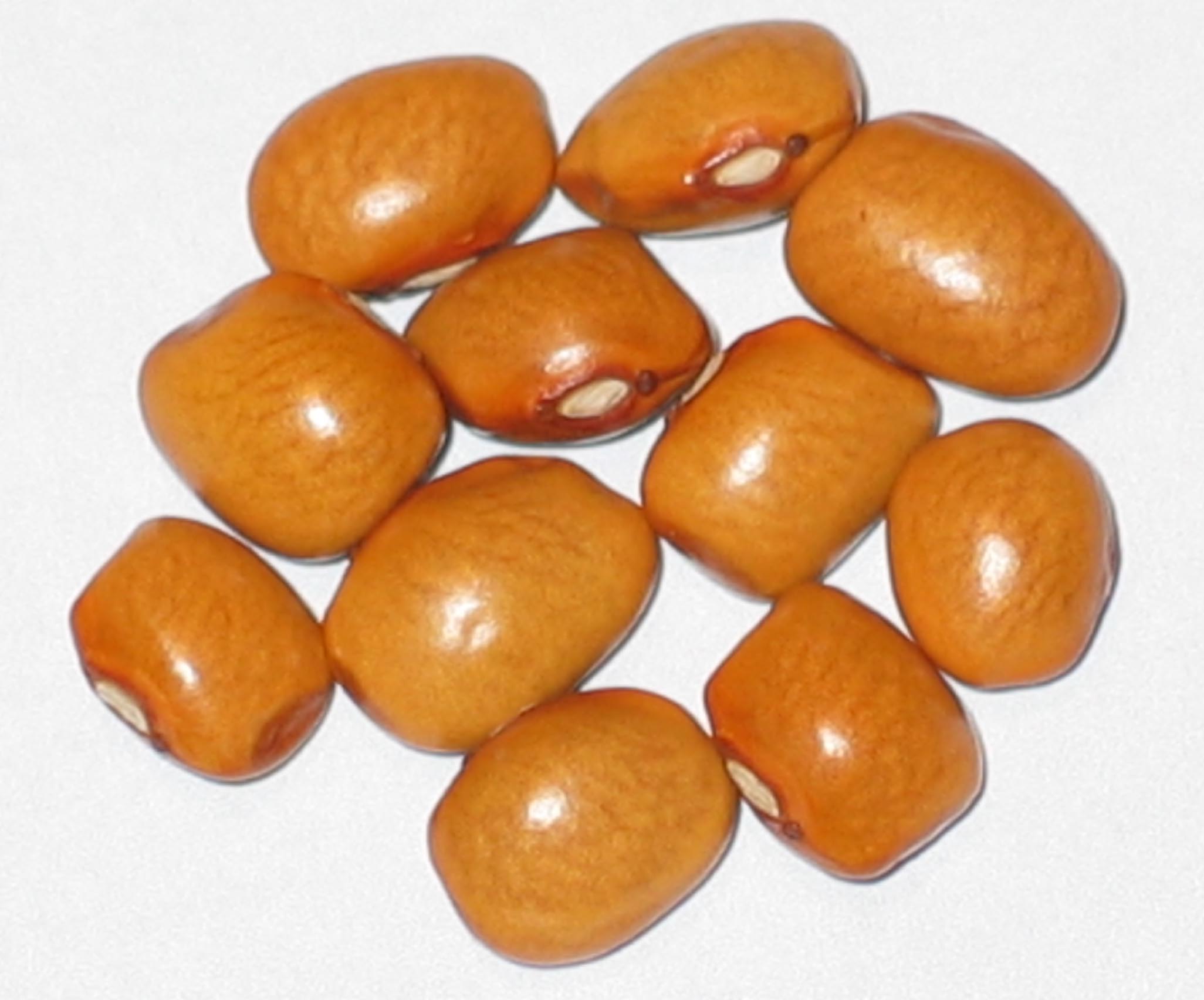 image of Yellow Orange beans