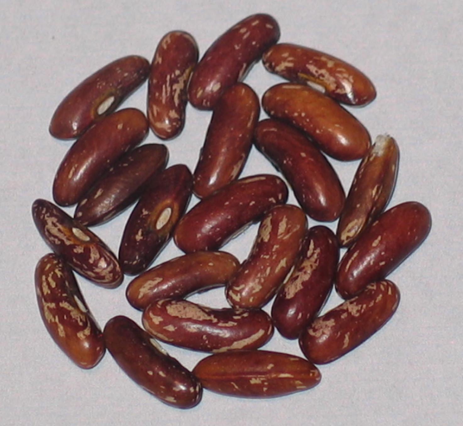 image of Cupidon Fillet beans