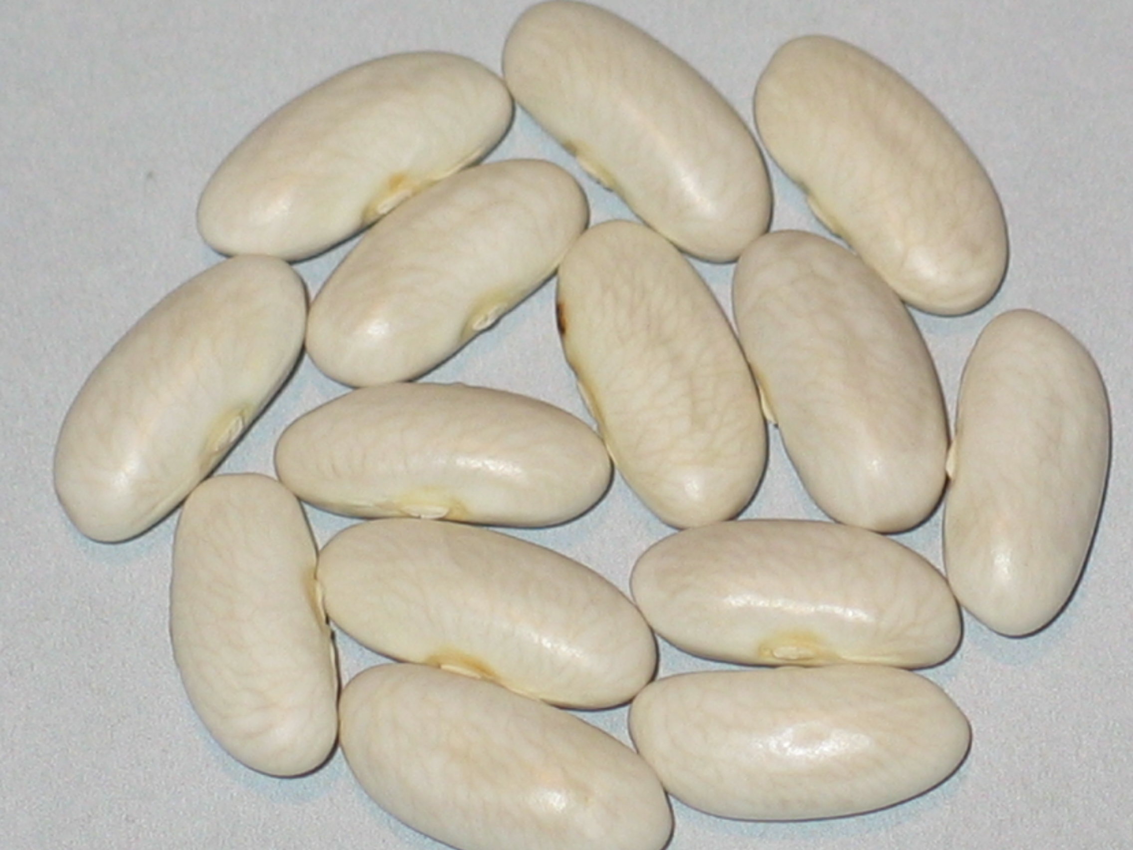 image of Dead Mans Tooth beans