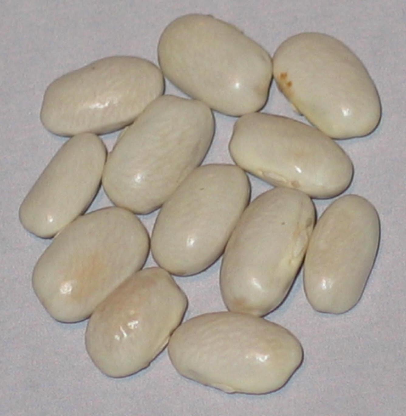 image of Donald Todd Half Runner beans