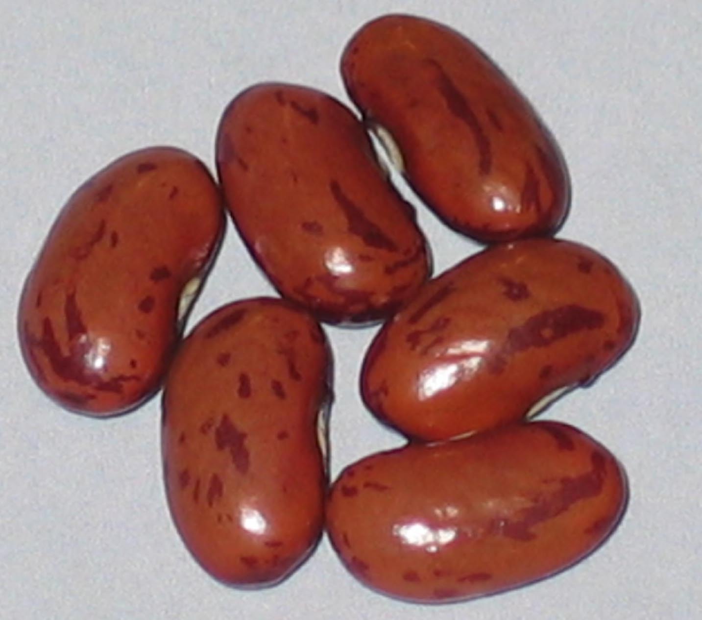 image of Doti Dotion beans