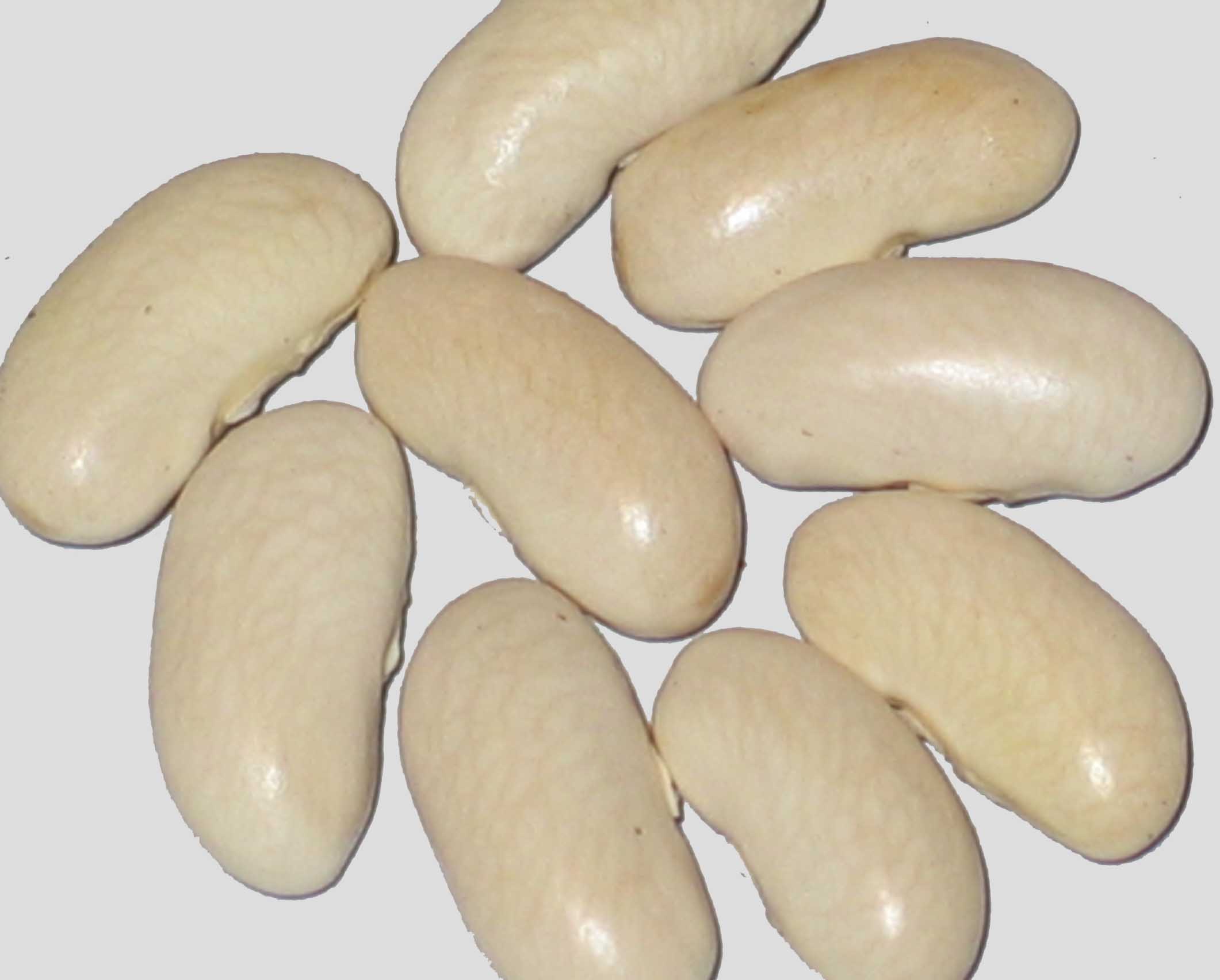 image of Duane Baptiste beans