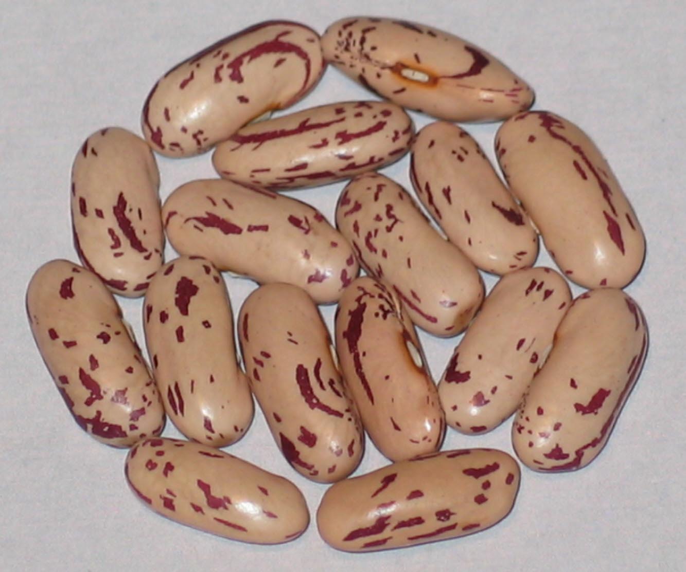 image of Fairy Crutchfield beans