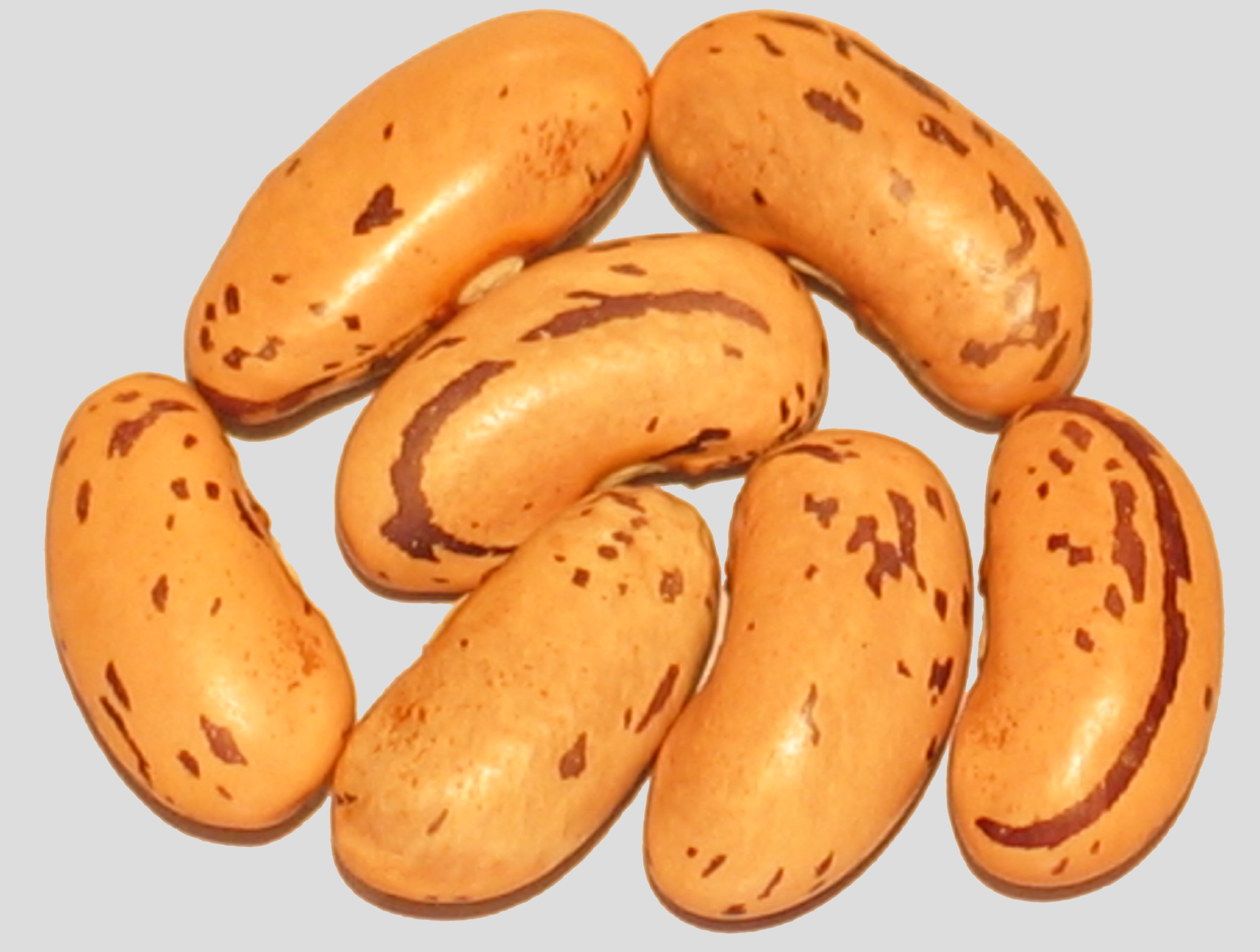 image of Feijao Catarino beans