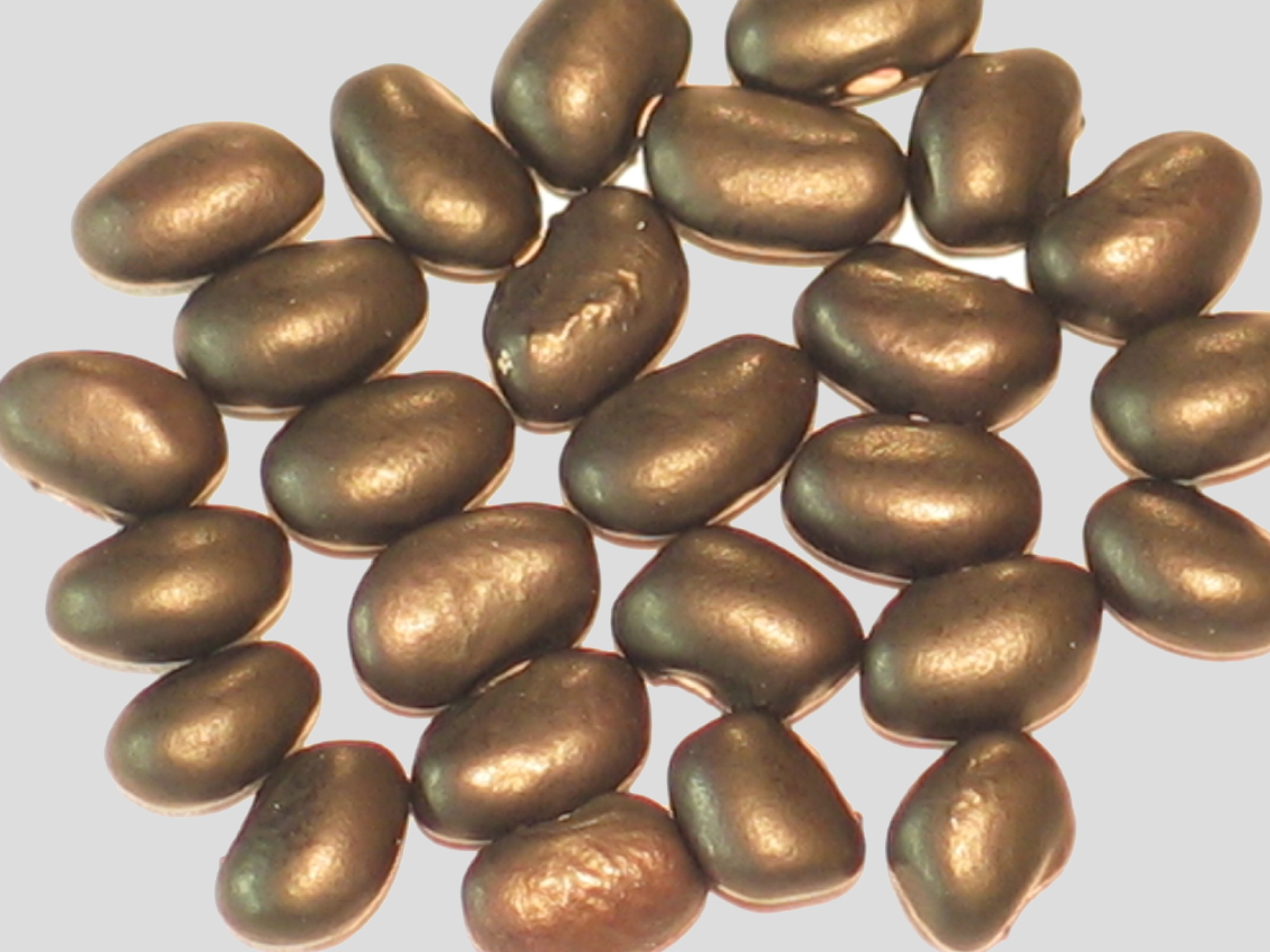 image of Feijao Preto Brasileito beans