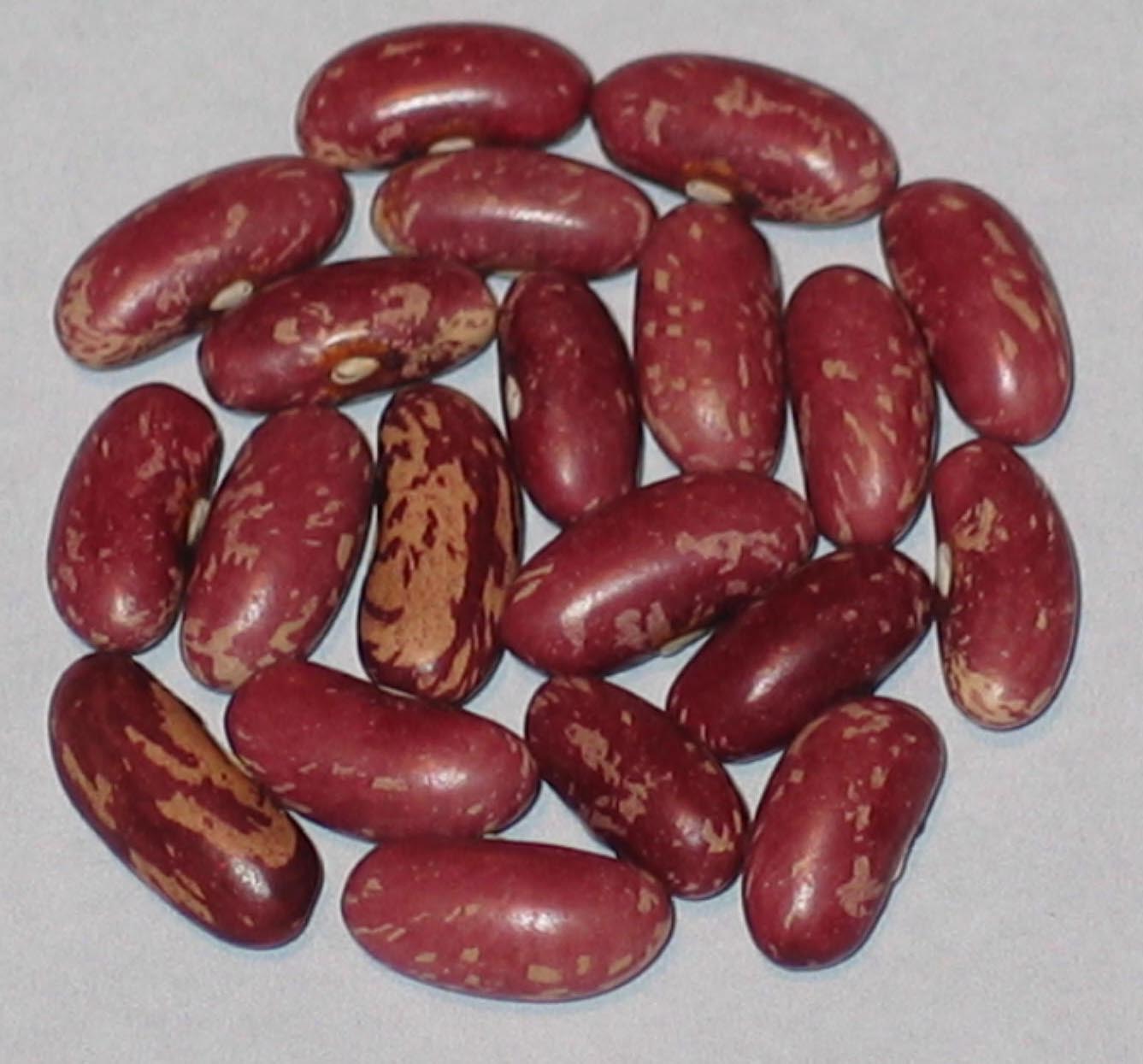 image of Fin De Bagnol beans