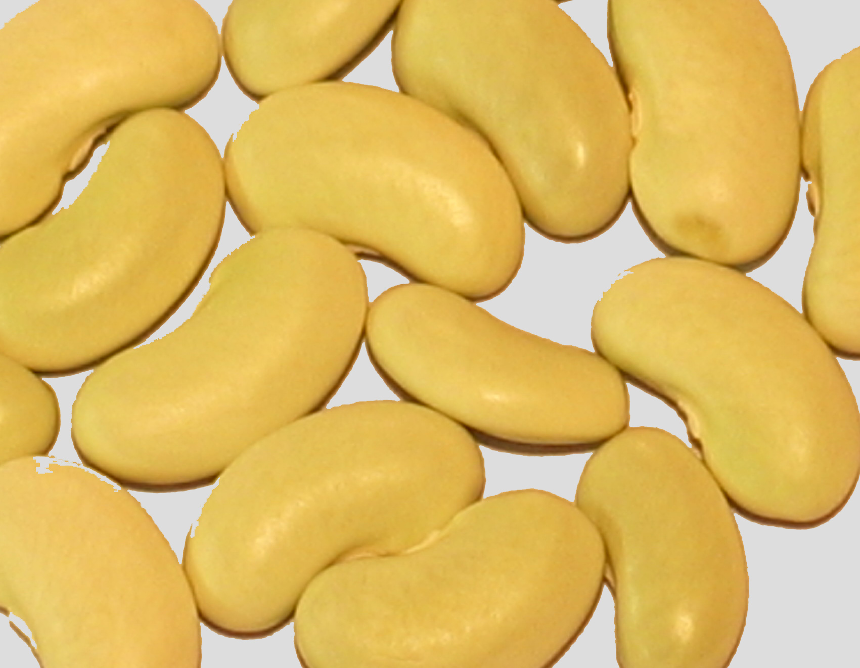 image of Flamata beans
