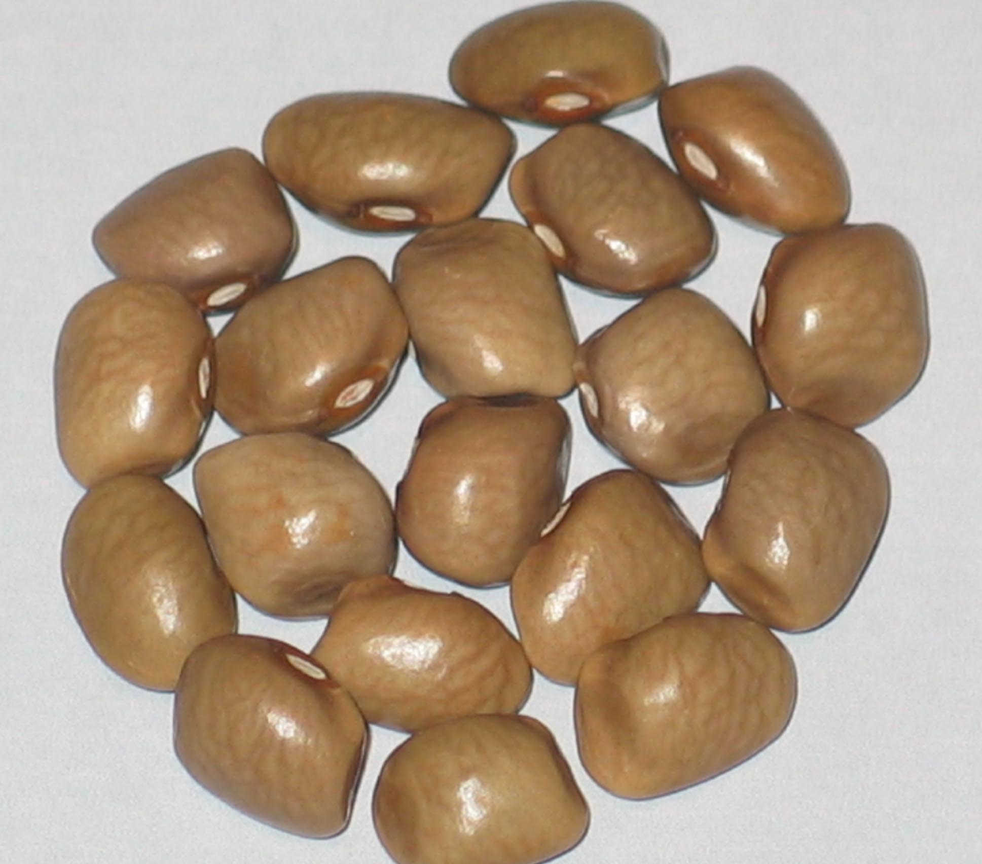 image of Frank Barnett beans