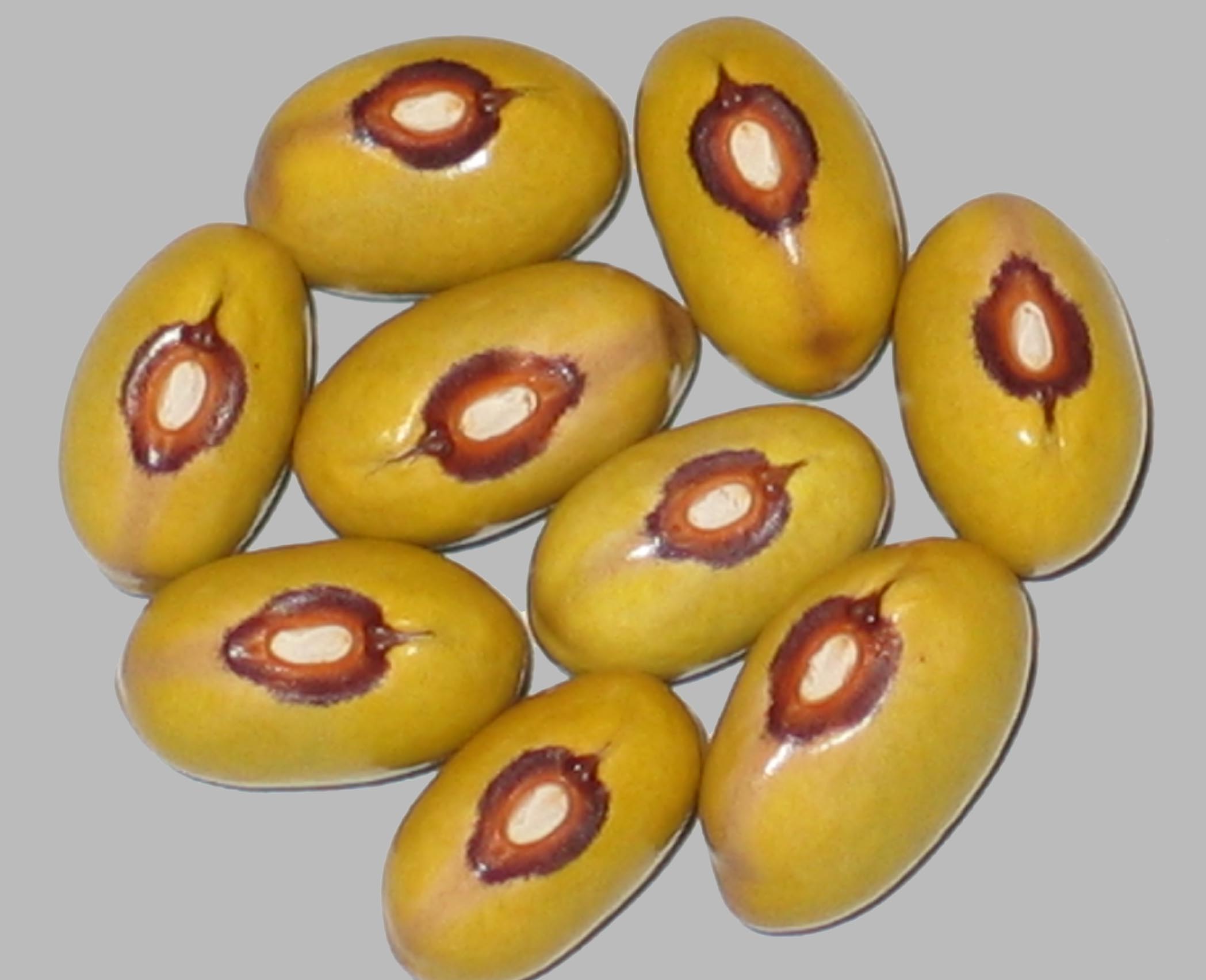 image of Fruhe Goldbohne beans