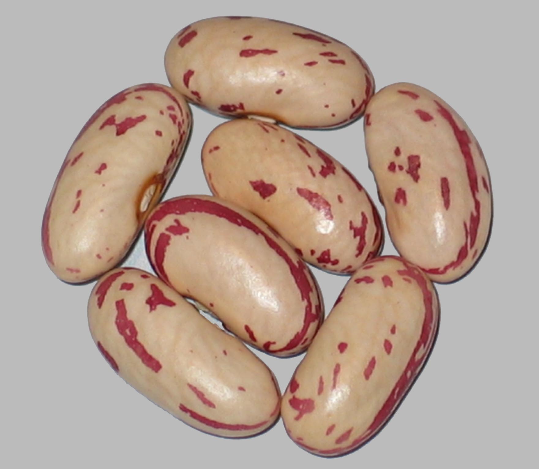 image of Gauk beans