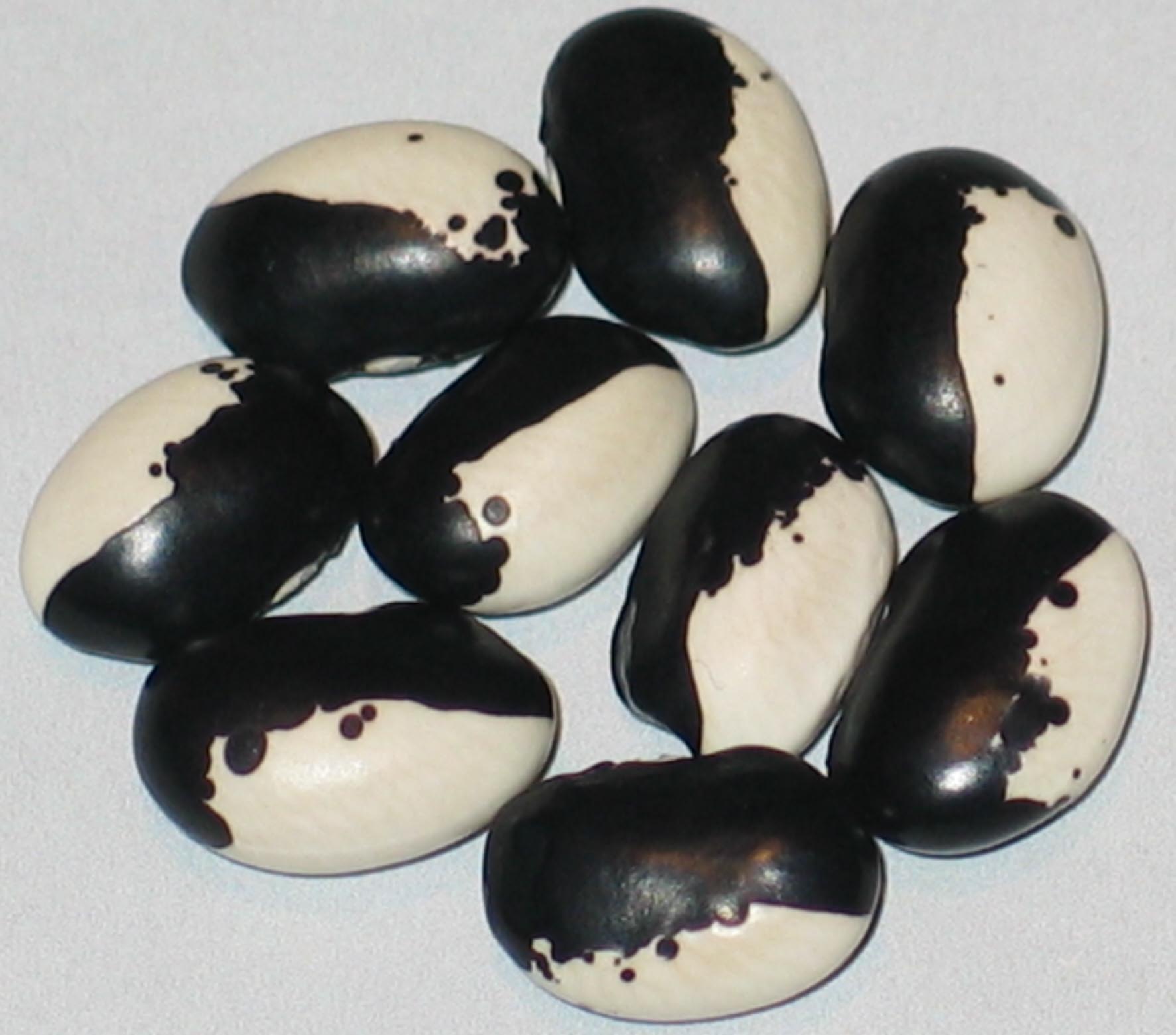 image of Georgian Pole Black And White beans