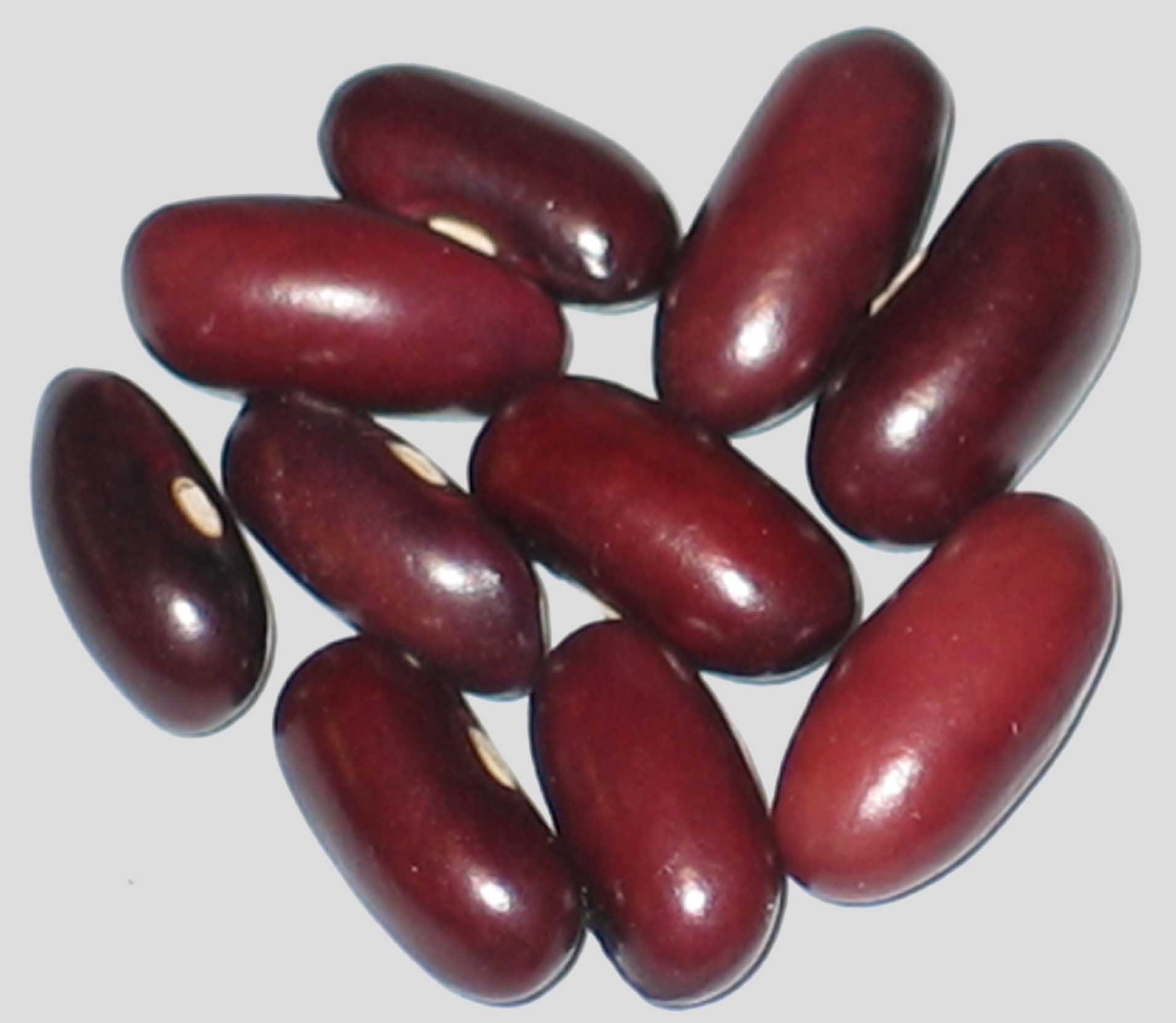 image of Johns Best beans