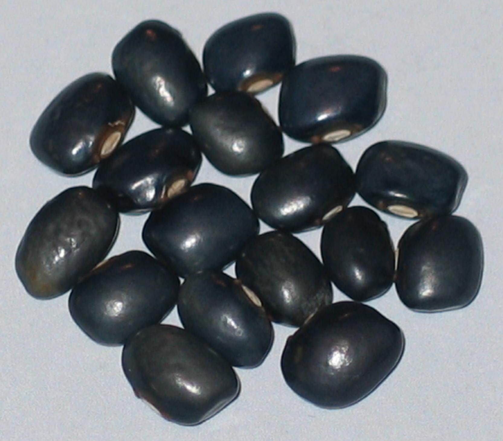 image of Nona Agnes beans