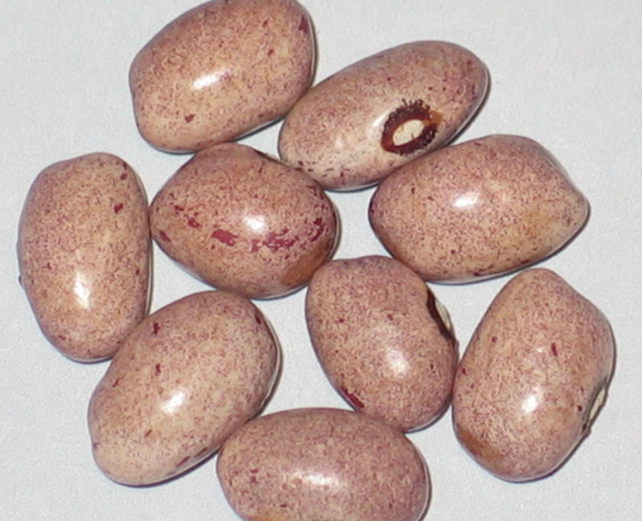 image of Ntingi beans