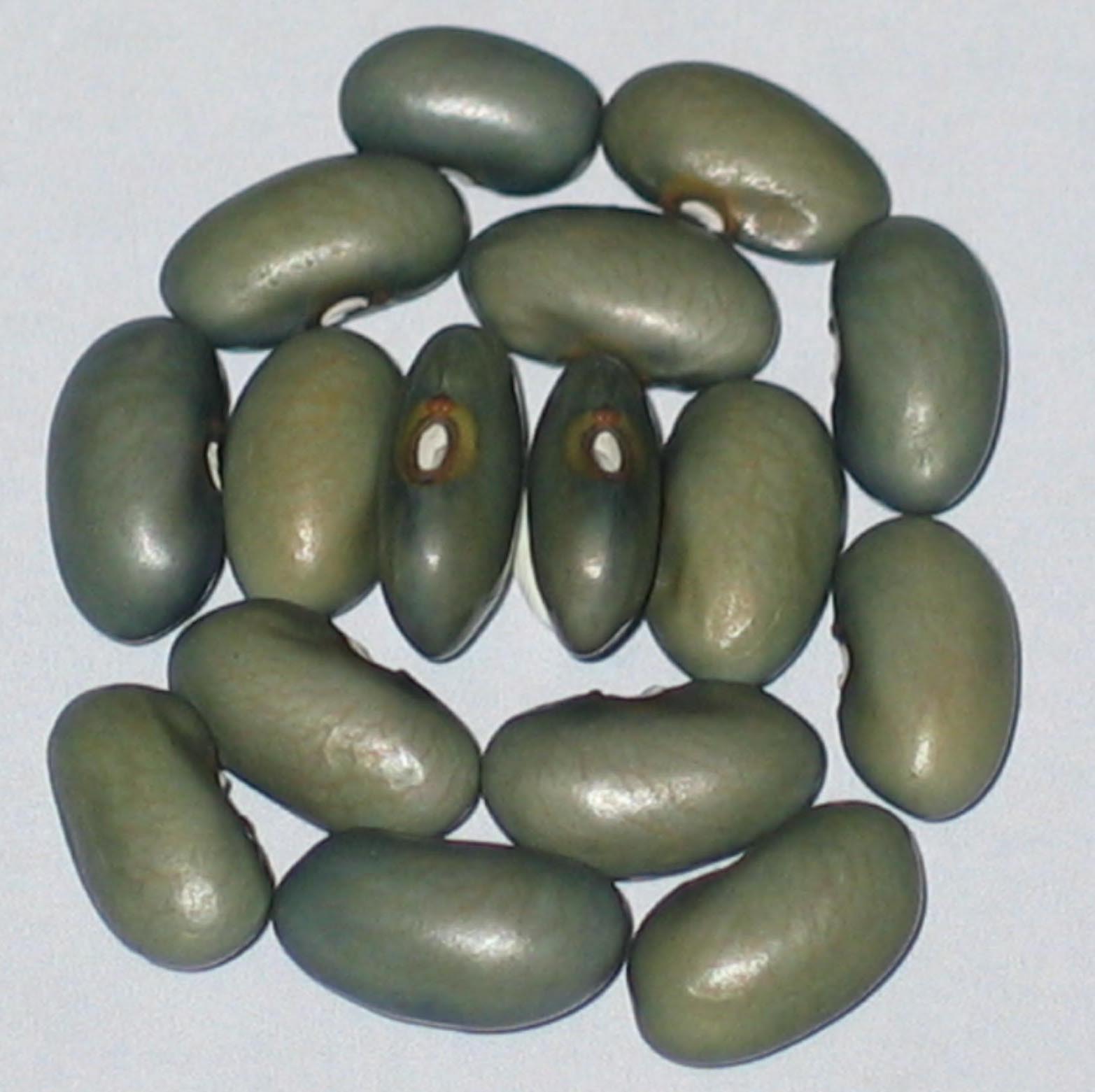 image of Nyau Tenibe NcHenachena beans