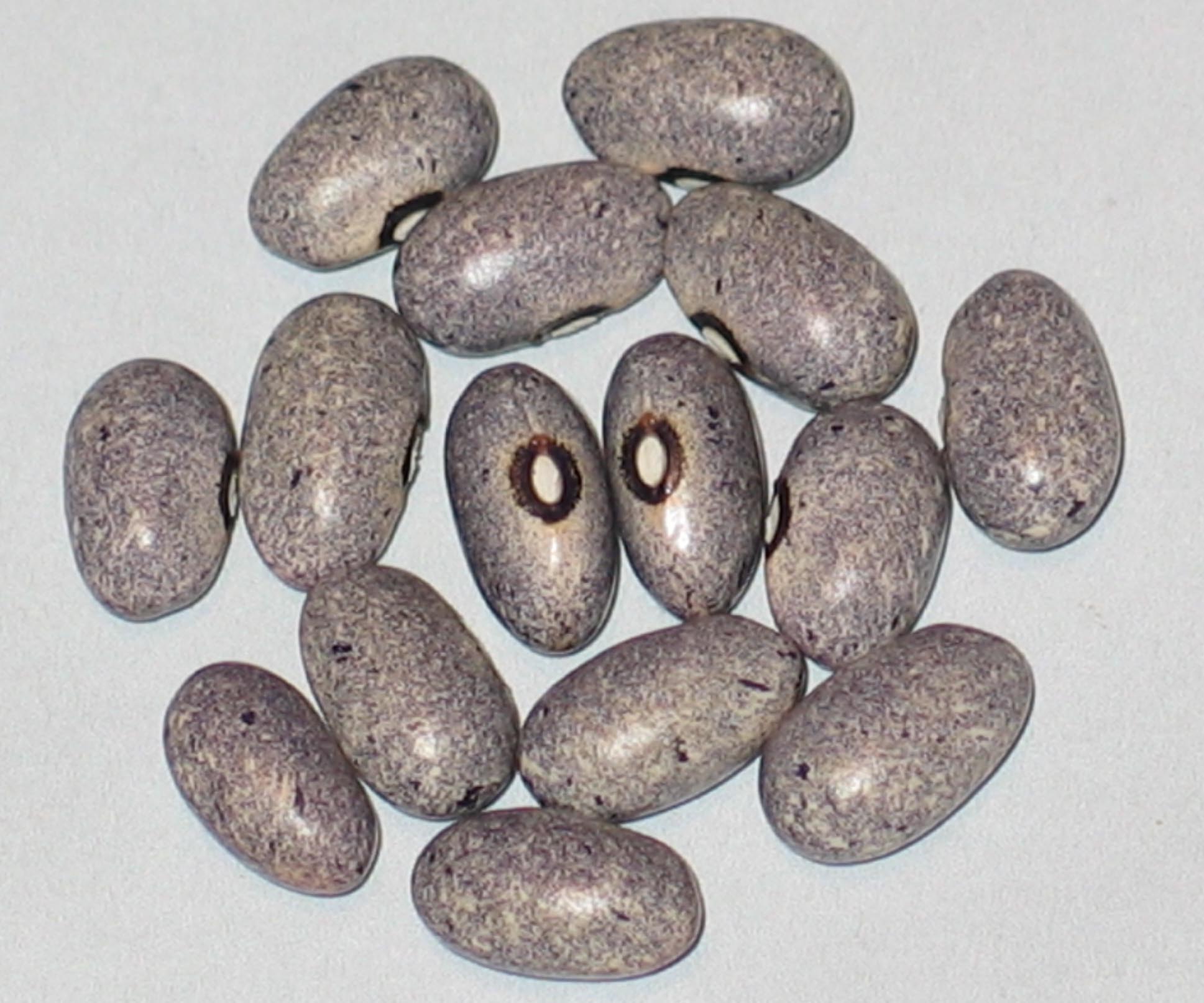 image of Pale Grey Lavender beans