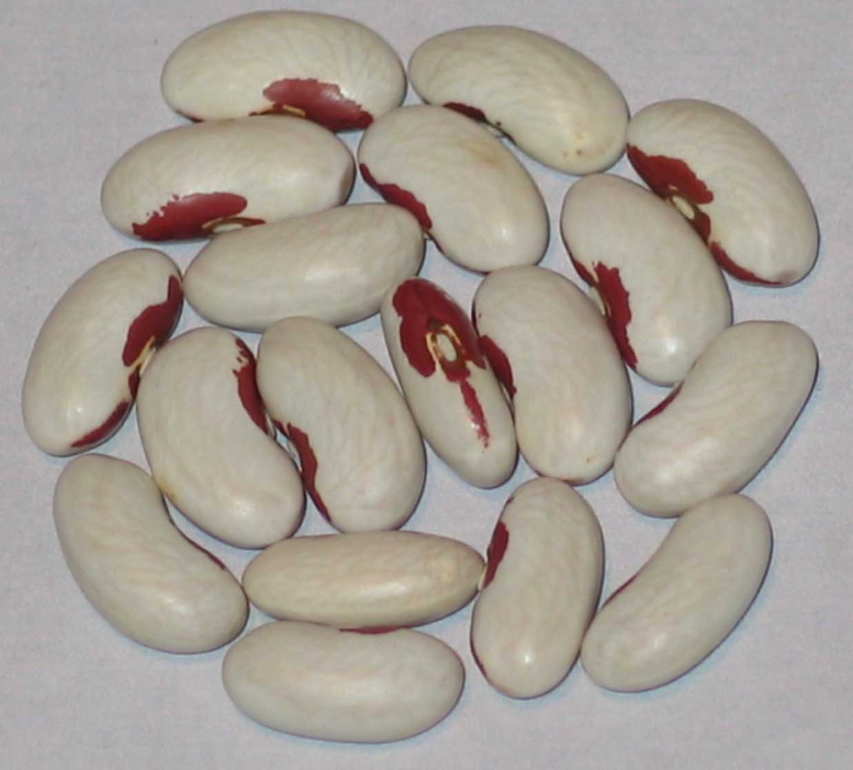 image of Pink Eye Soldier beans