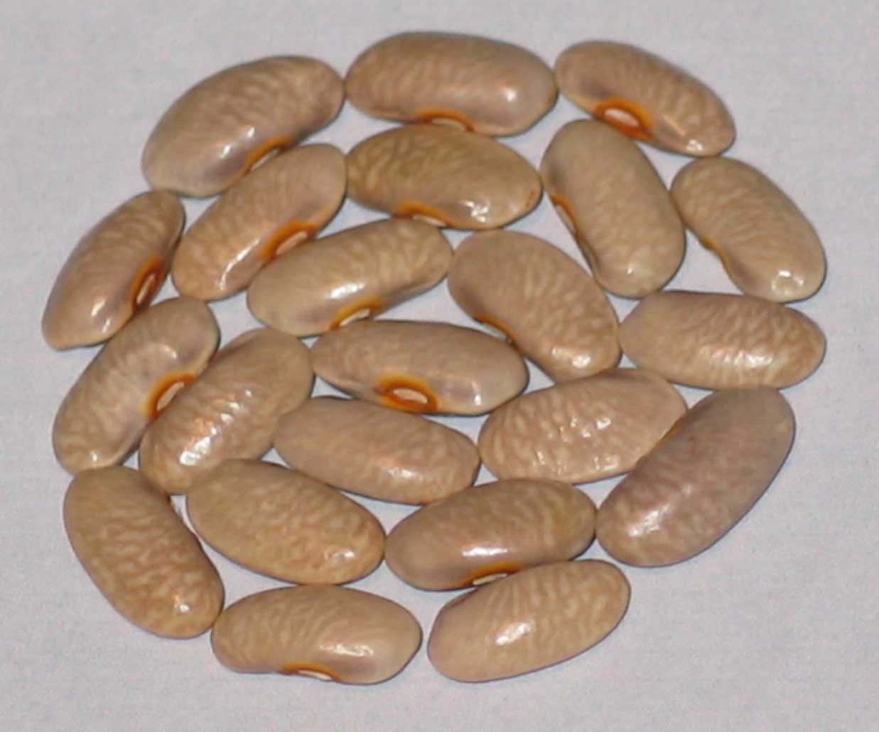 image of Pink Tenders beans