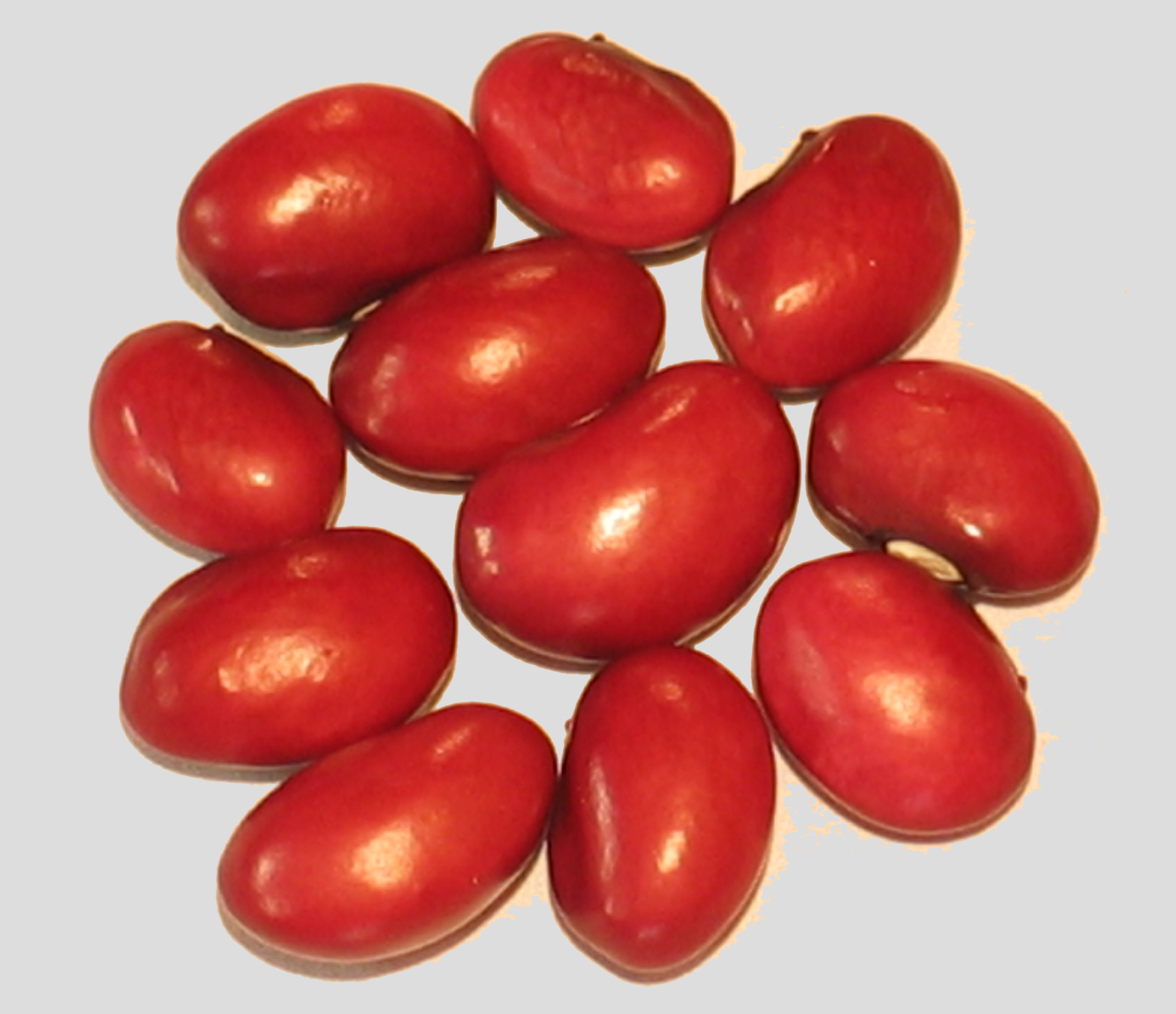 image of Pink Poded Burgundy Bolitas beans