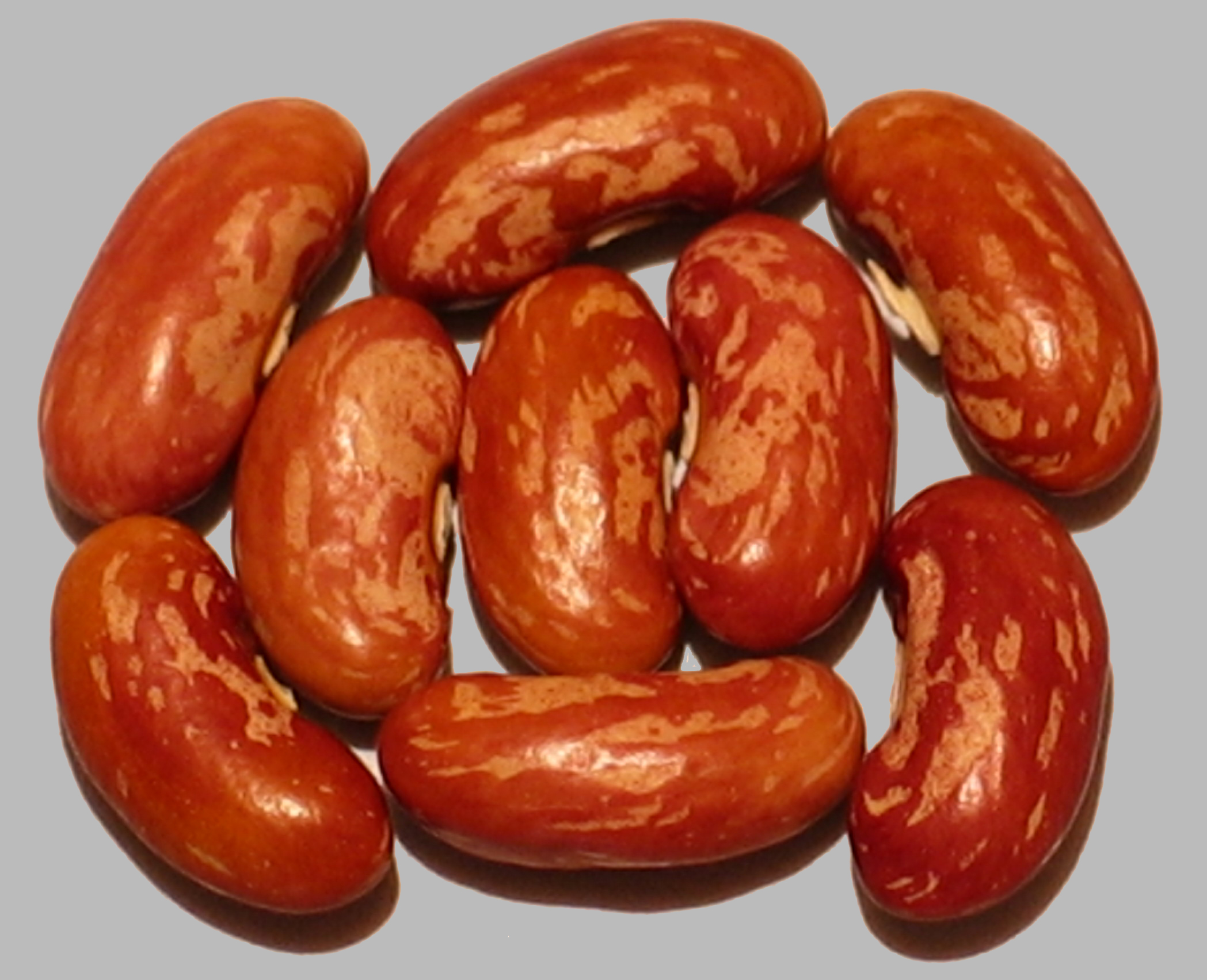 image of Pisarecka Zlutoluske beans