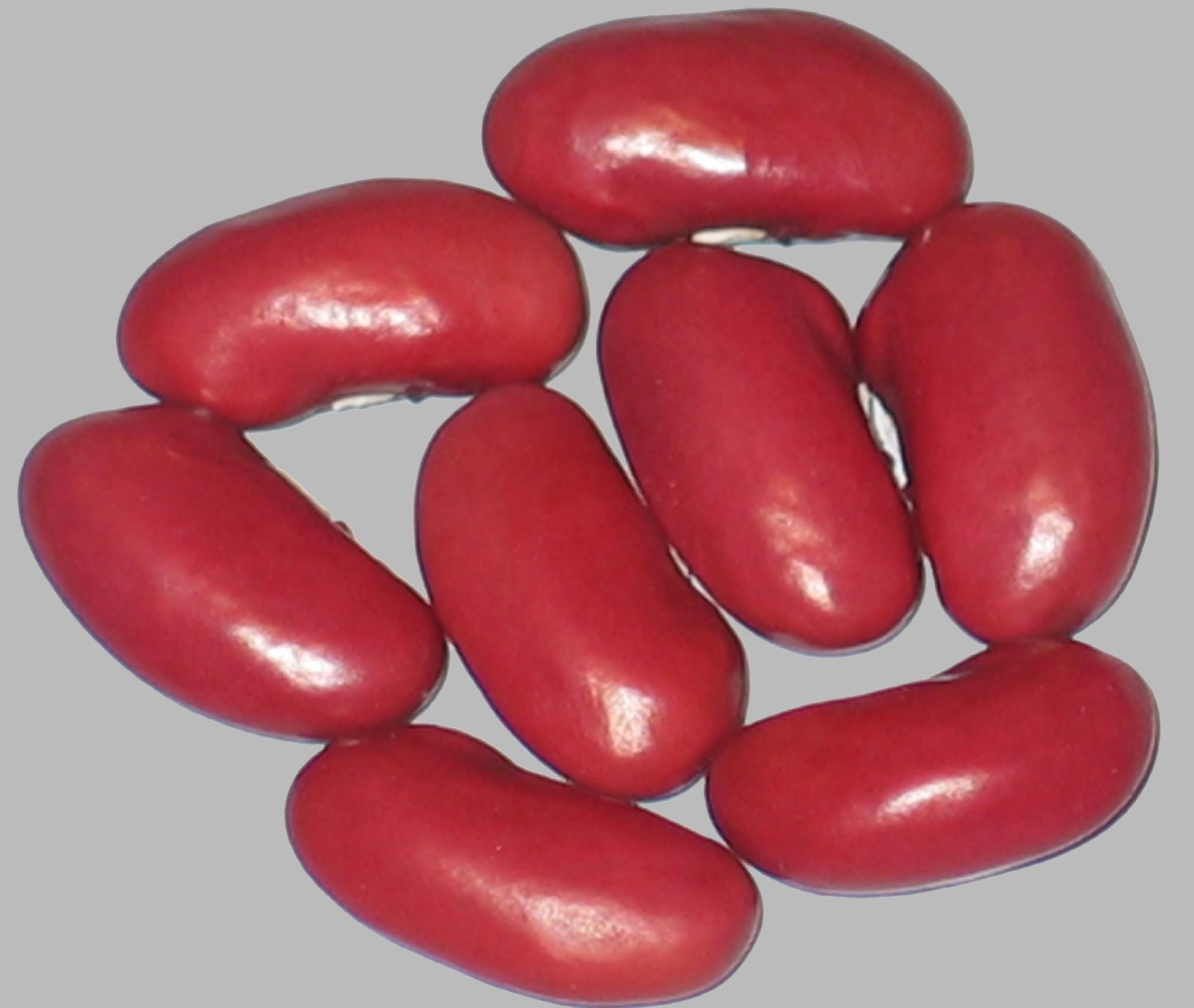 image of Portugese Red beans