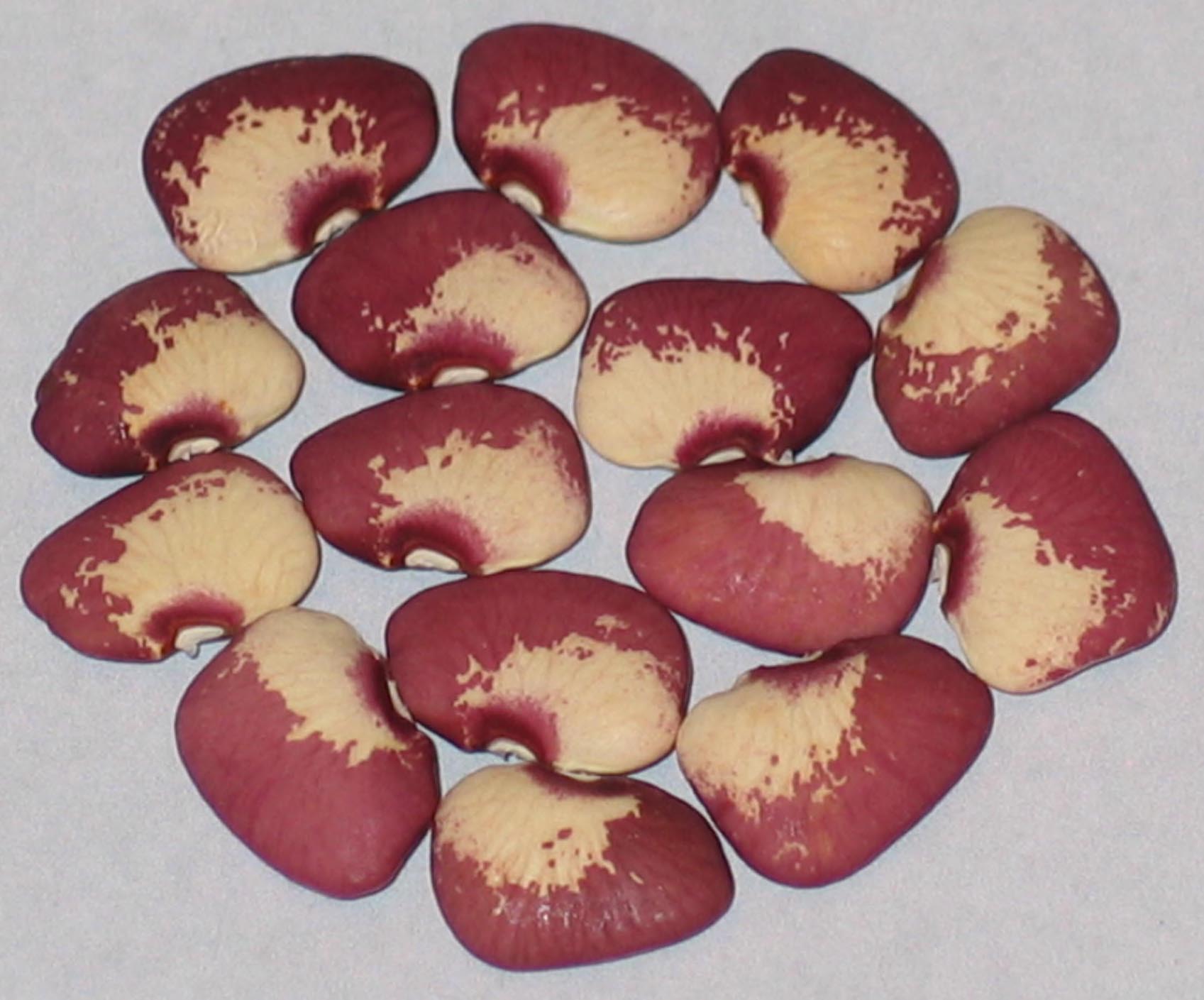 image of Aubrey Deane beans