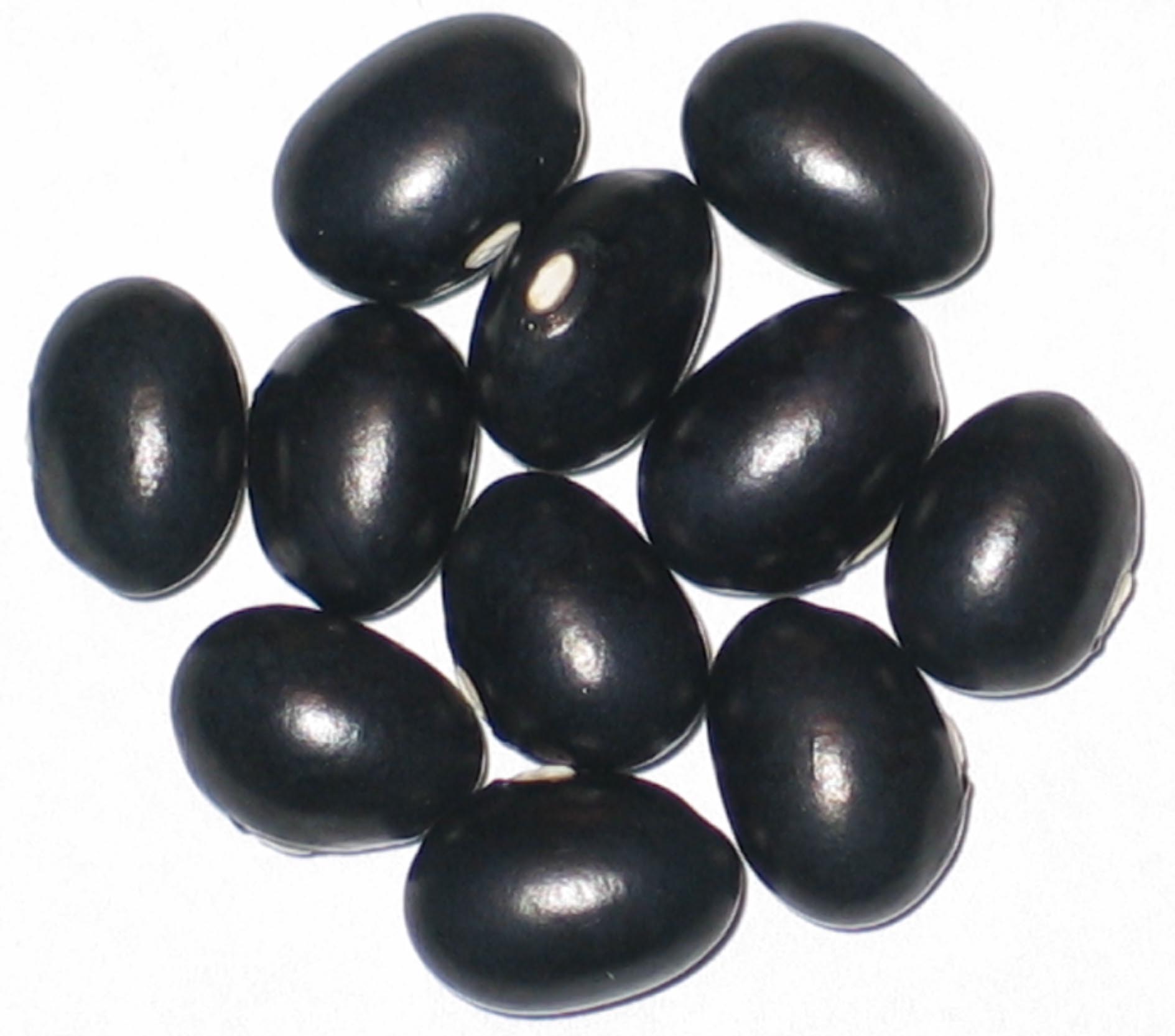 image of Black Coco beans