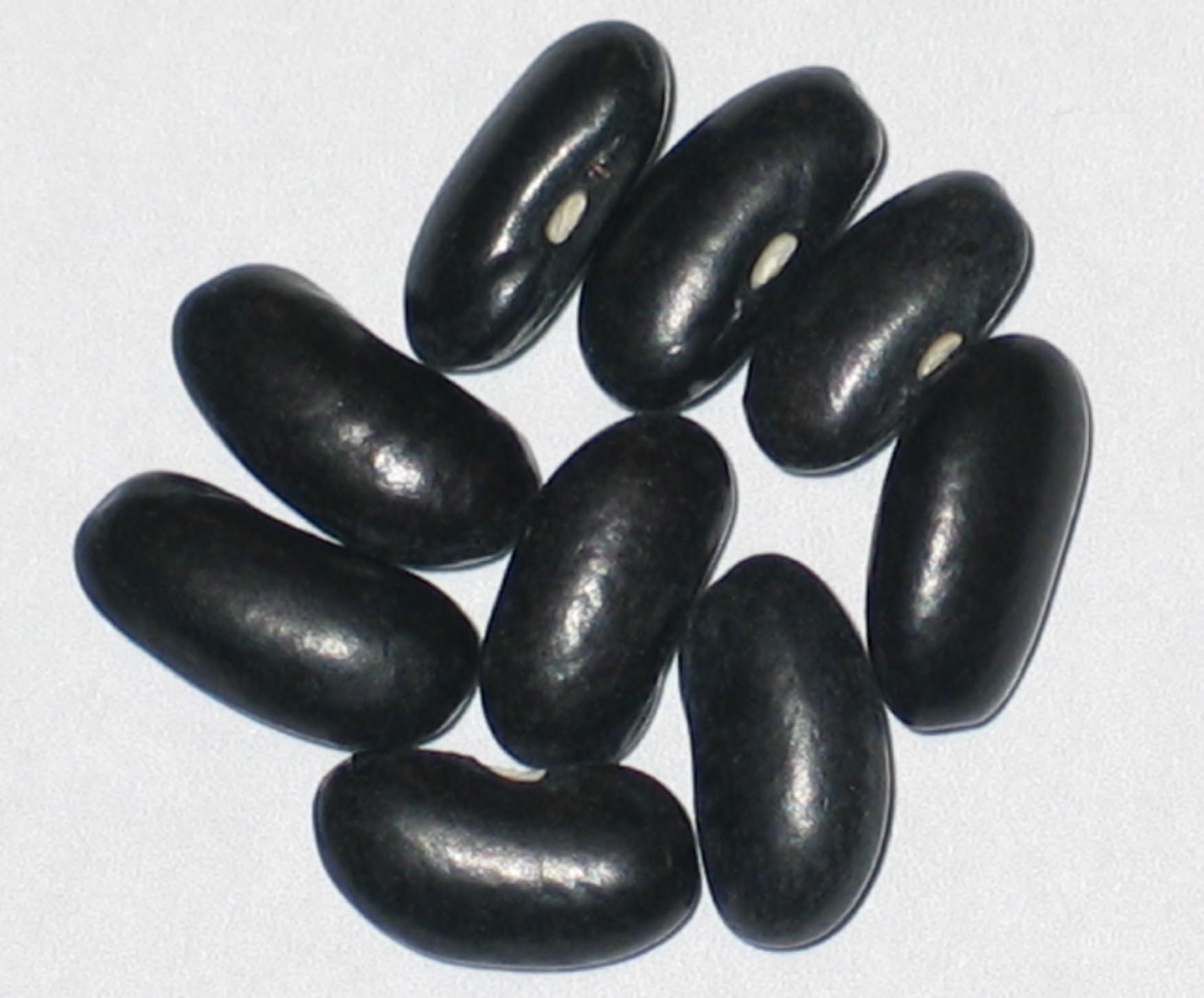 image of Black Valentine beans