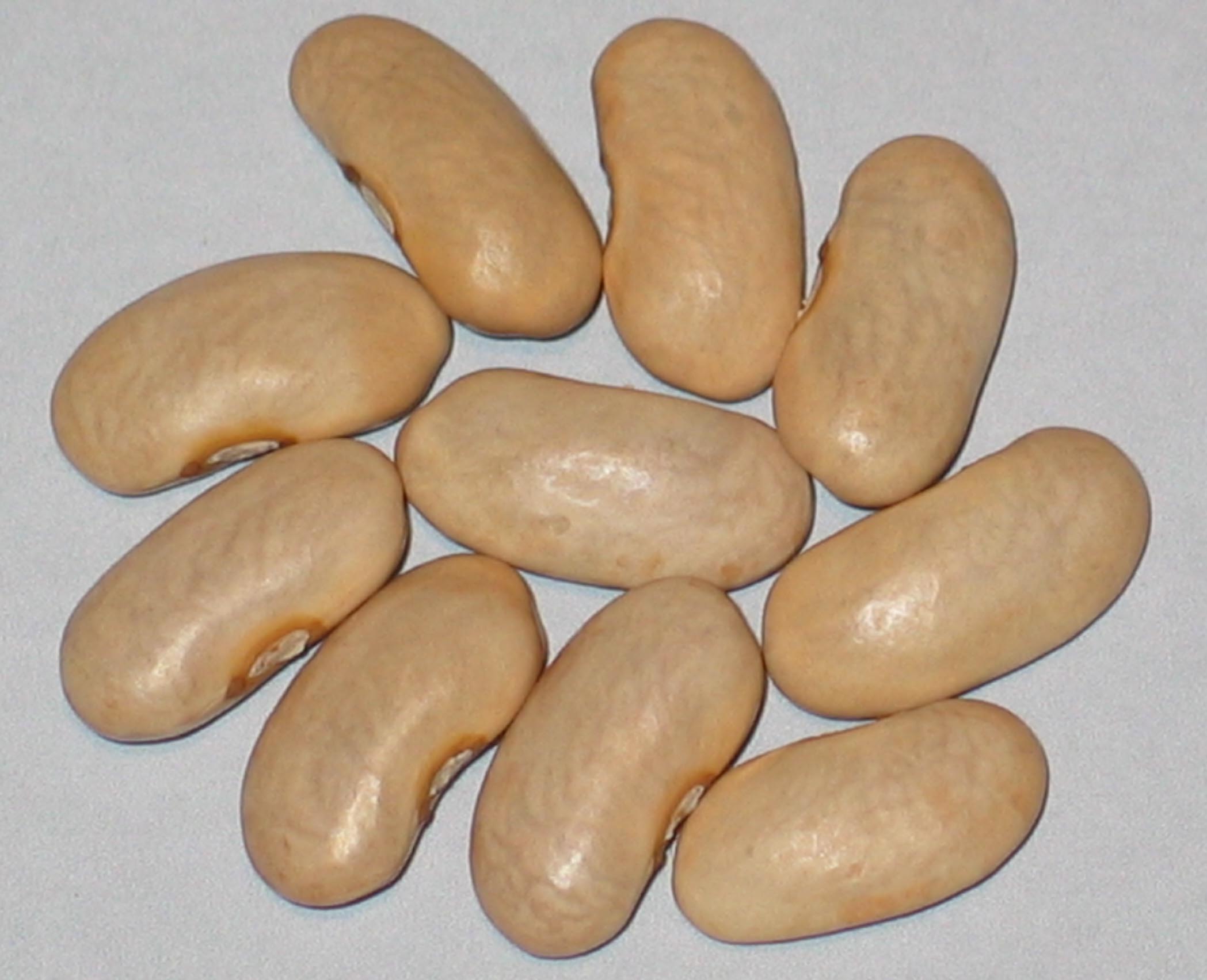 image of Cassies Purple Pod beans