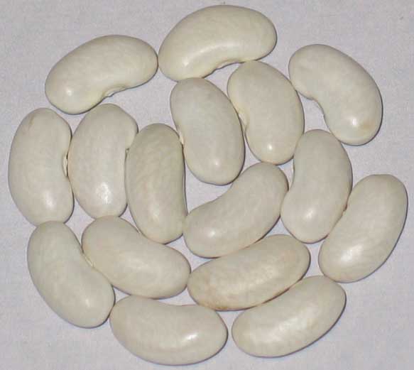 image of Champagne beans