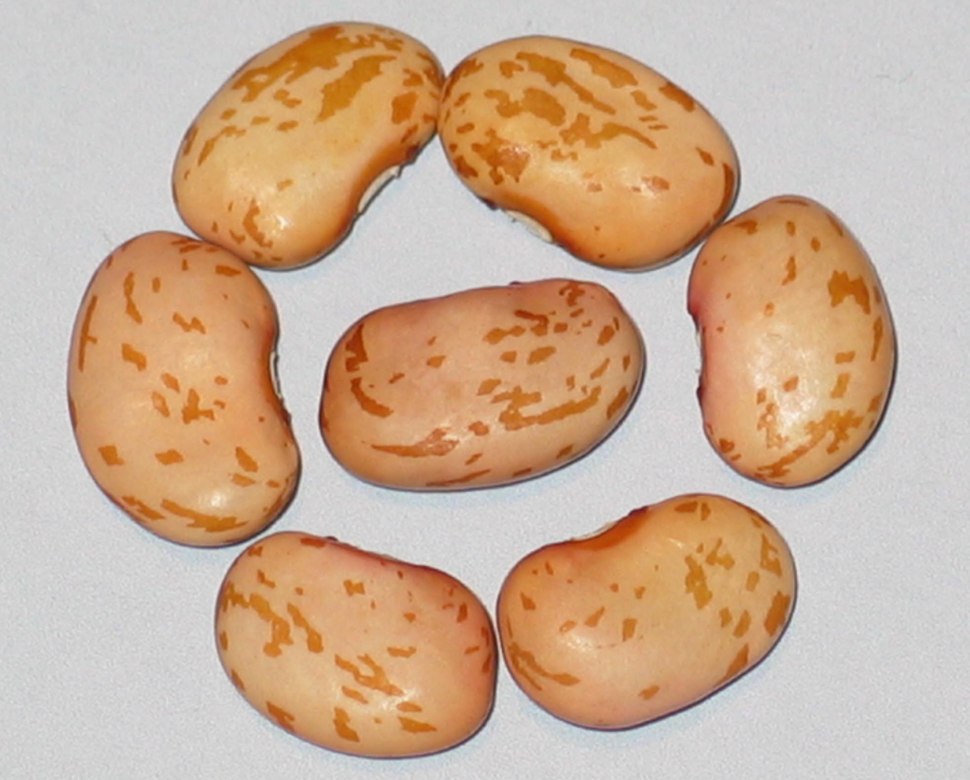 image of Golden Lima beans